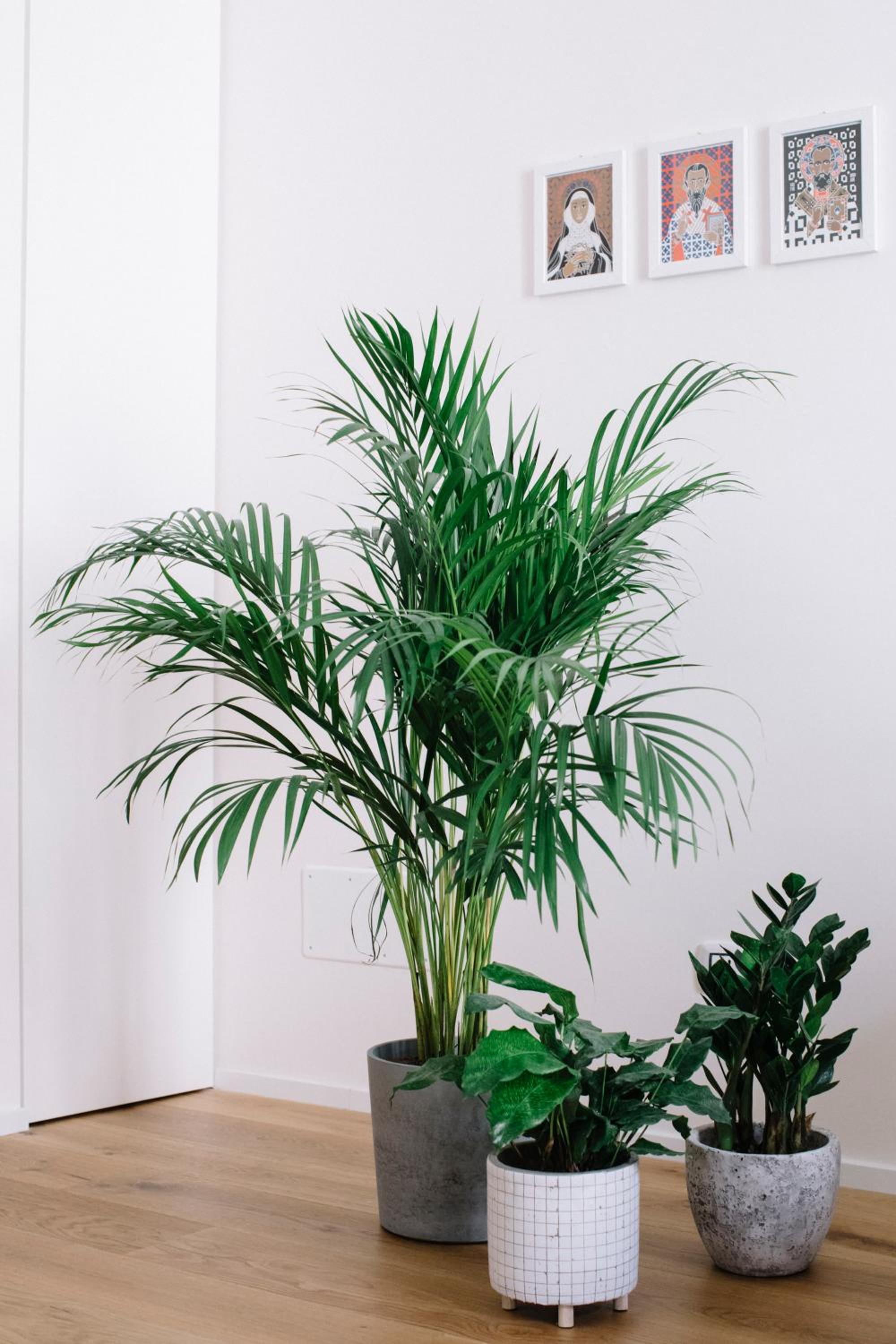 One-Bedroom Apartment - Photo 16
