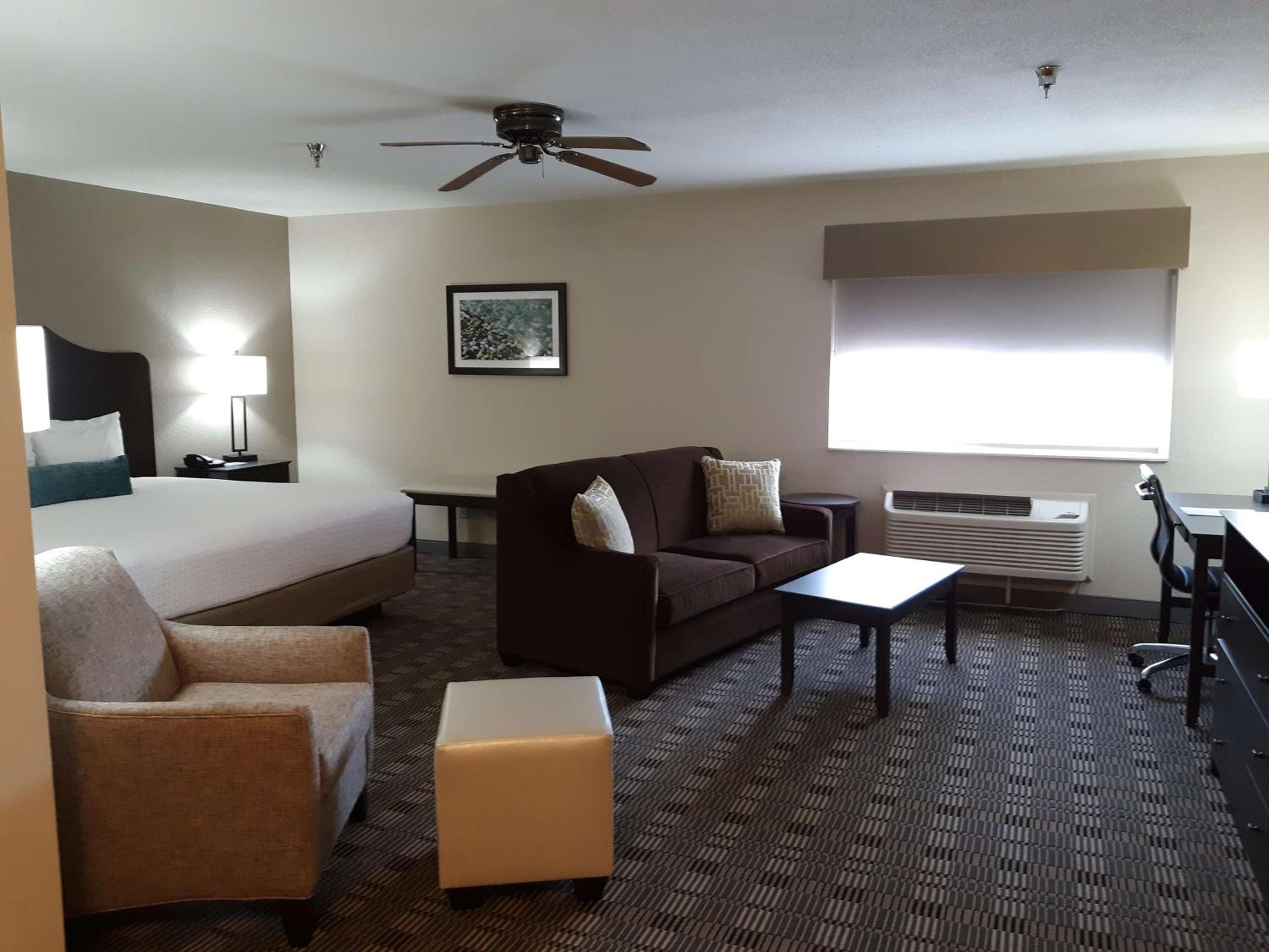 Oversize King Room photo 1