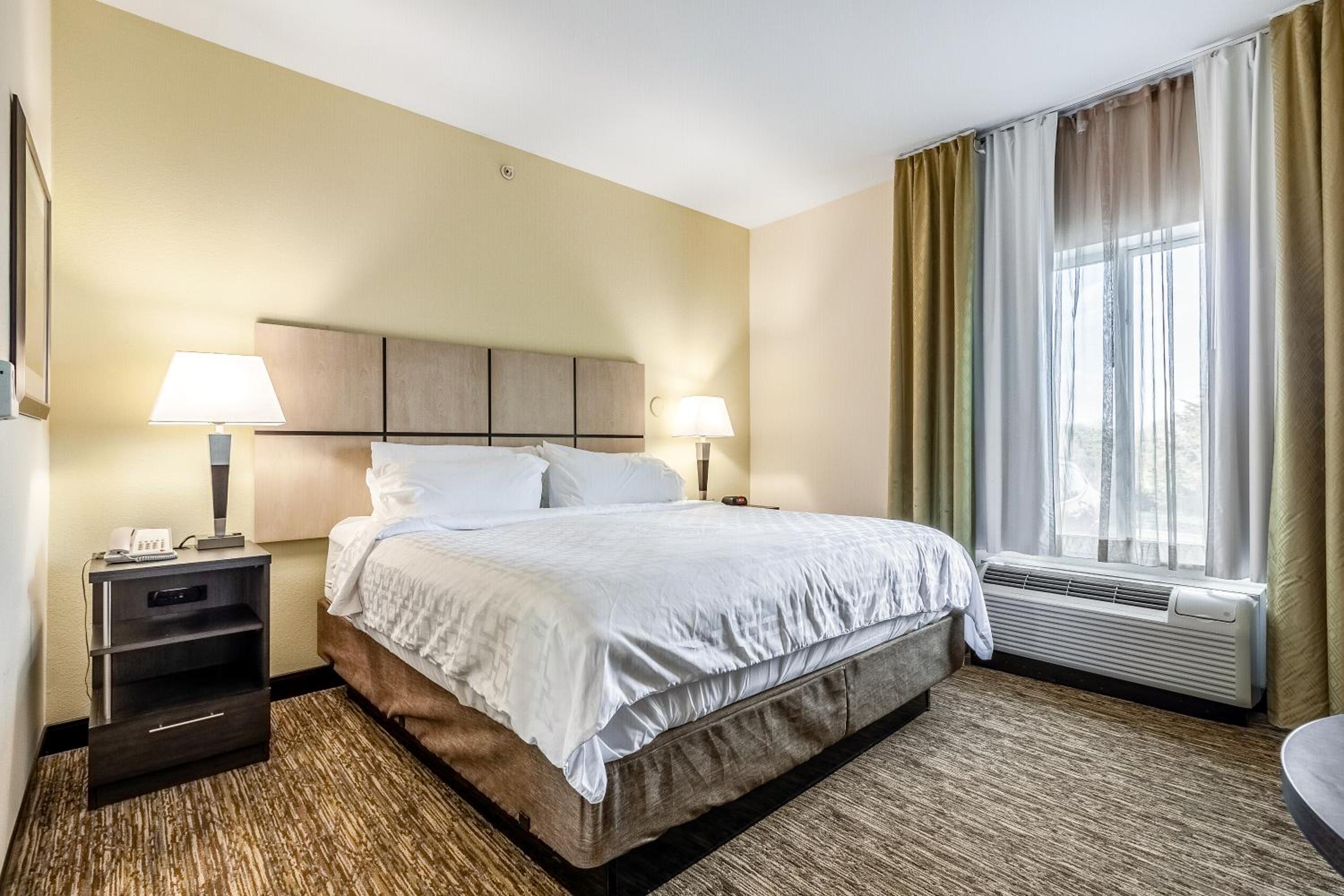 King Studio Suite - Photo 1