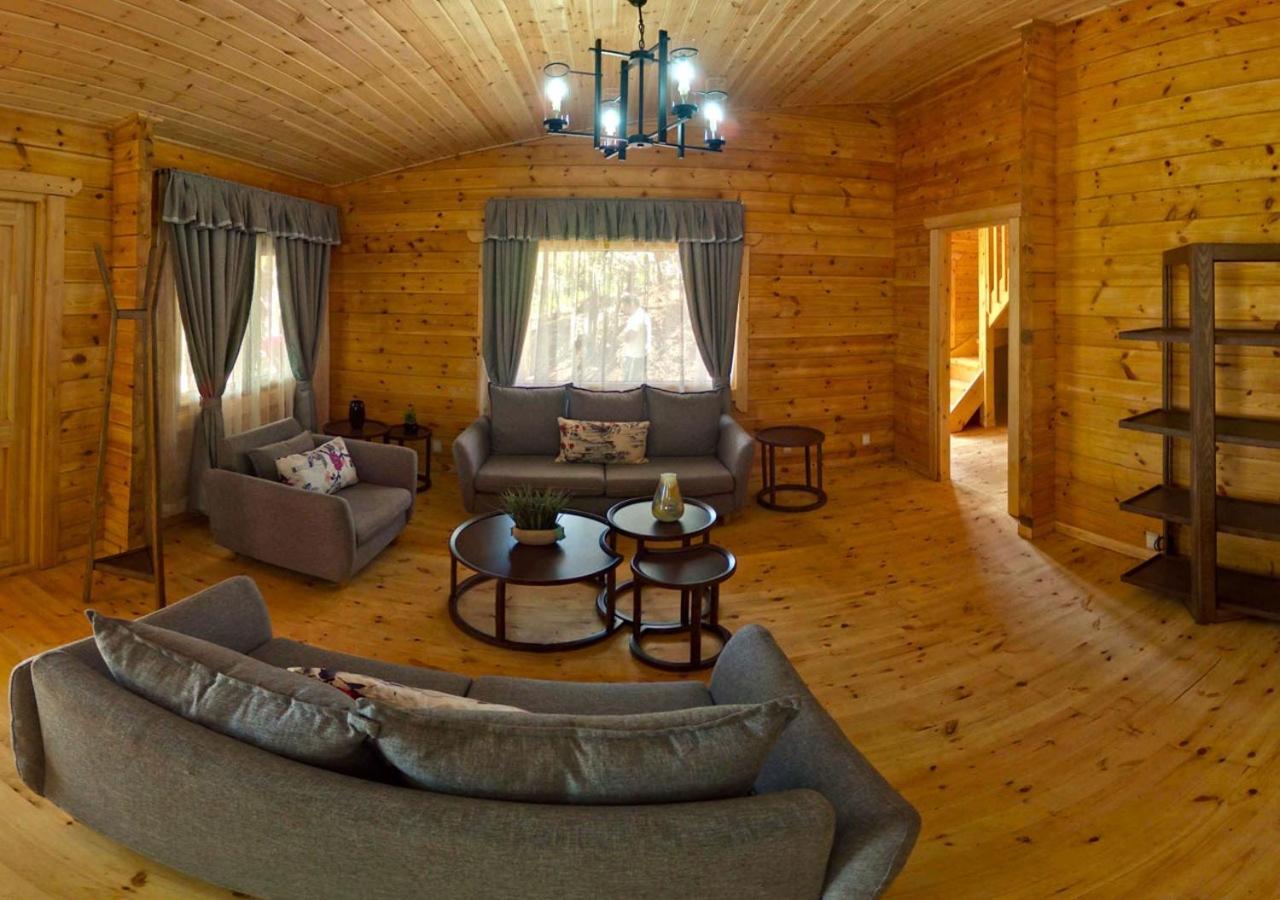 Three-Bedroom Chalet photo 1