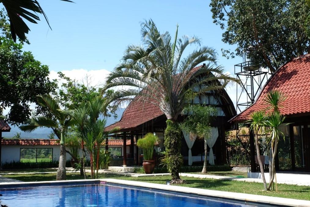Deluxe Villa photo 3