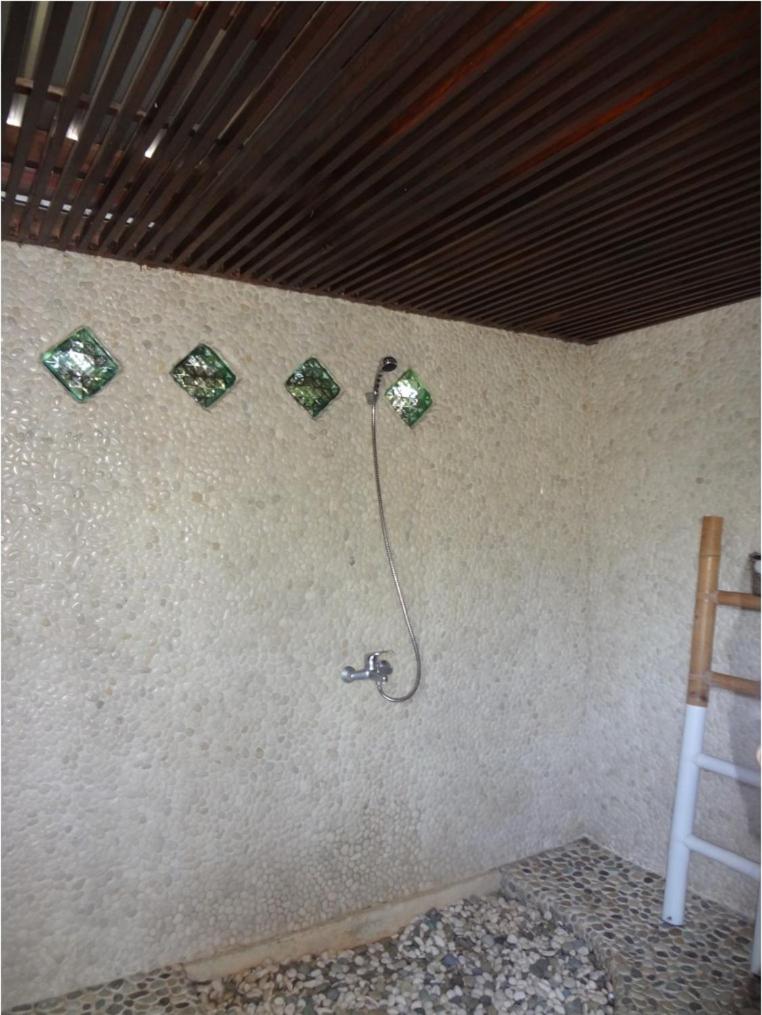 Deluxe Villa photo 2