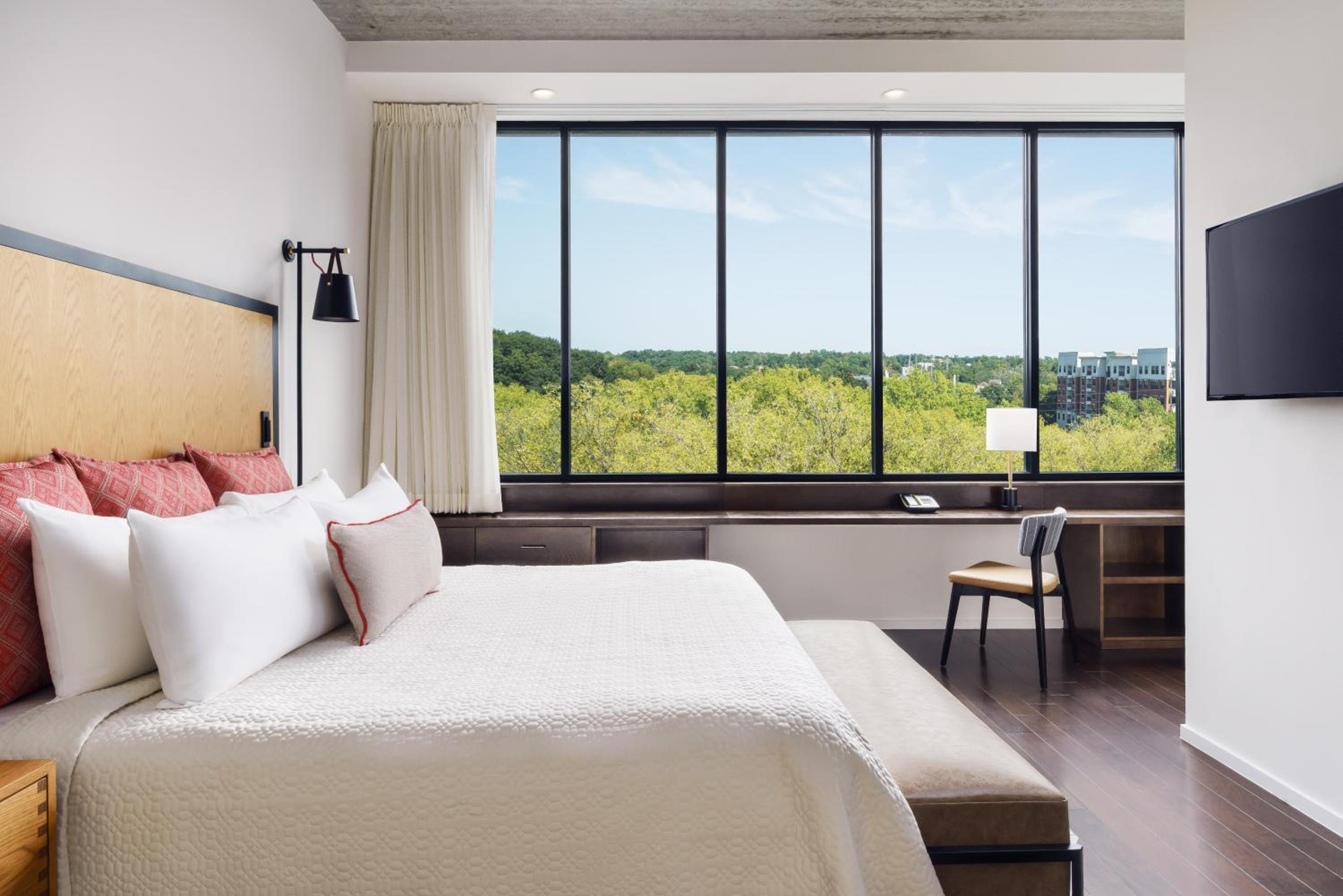 King Suite - Photo 1