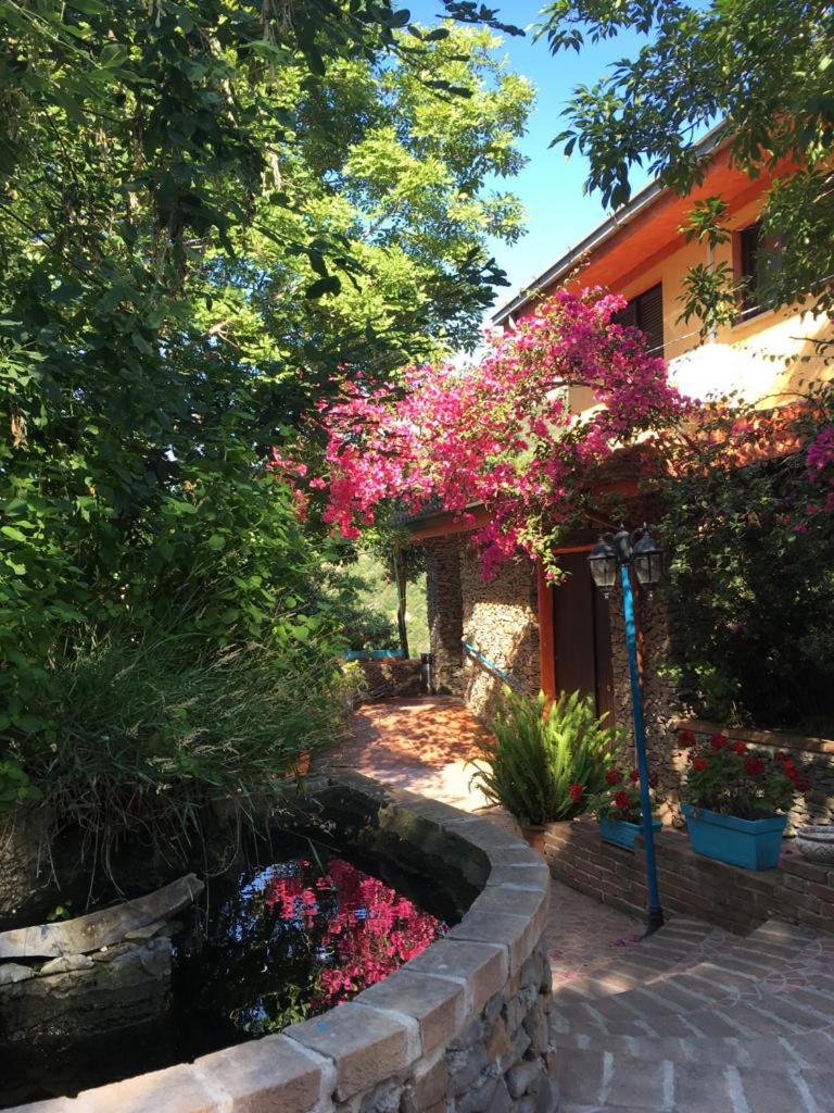 Double or Twin Room with Garden View photo 2