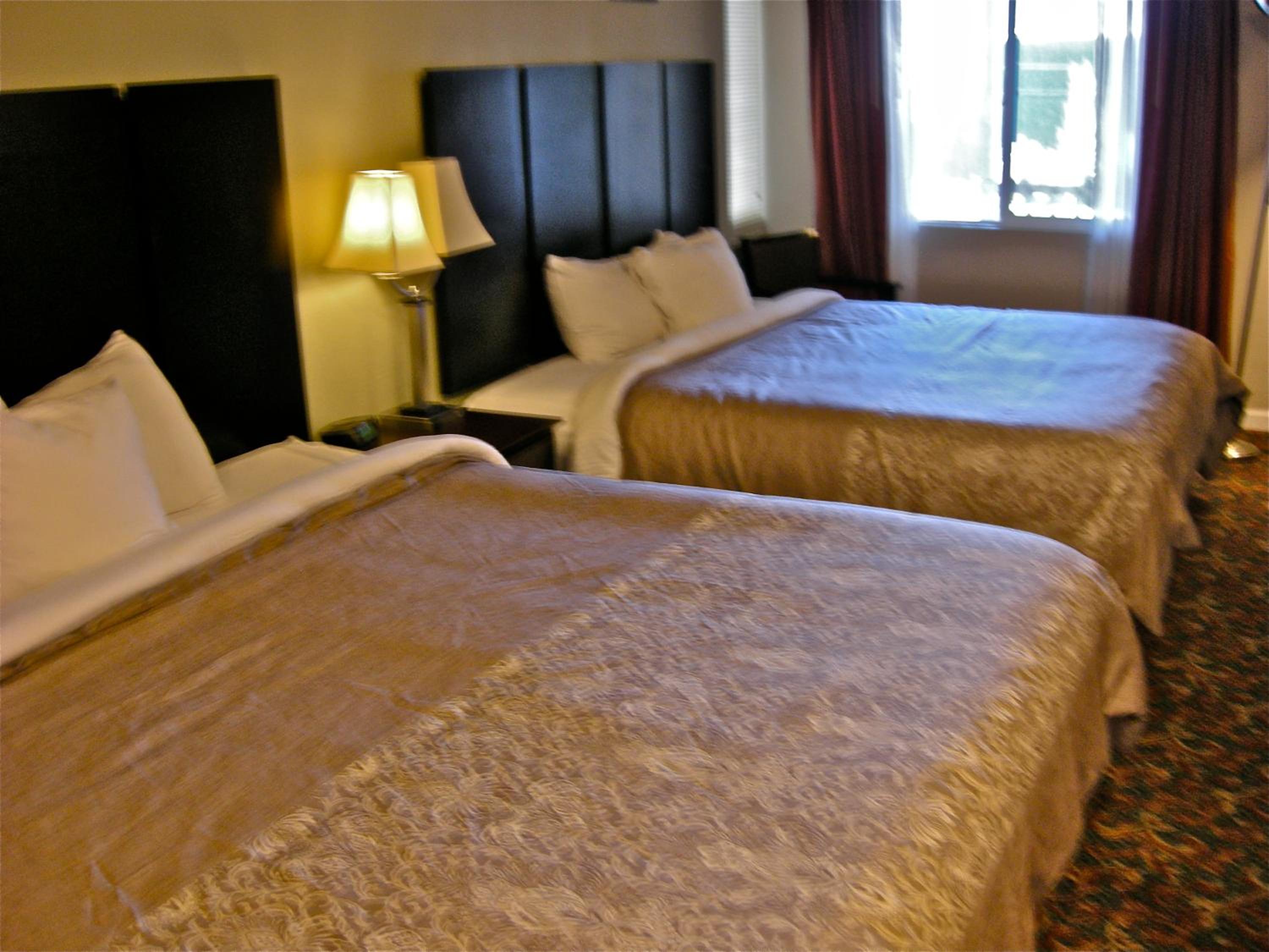 Deluxe King Suite - Non-Smoking - Photo 1