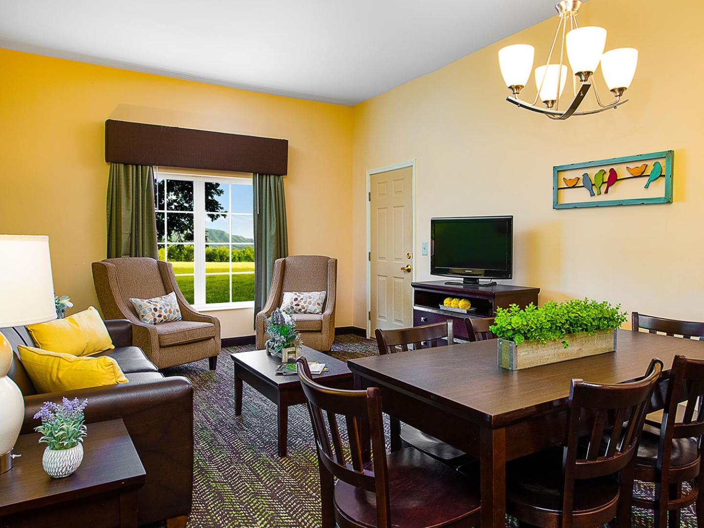 One-Bedroom Suite - Photo 1