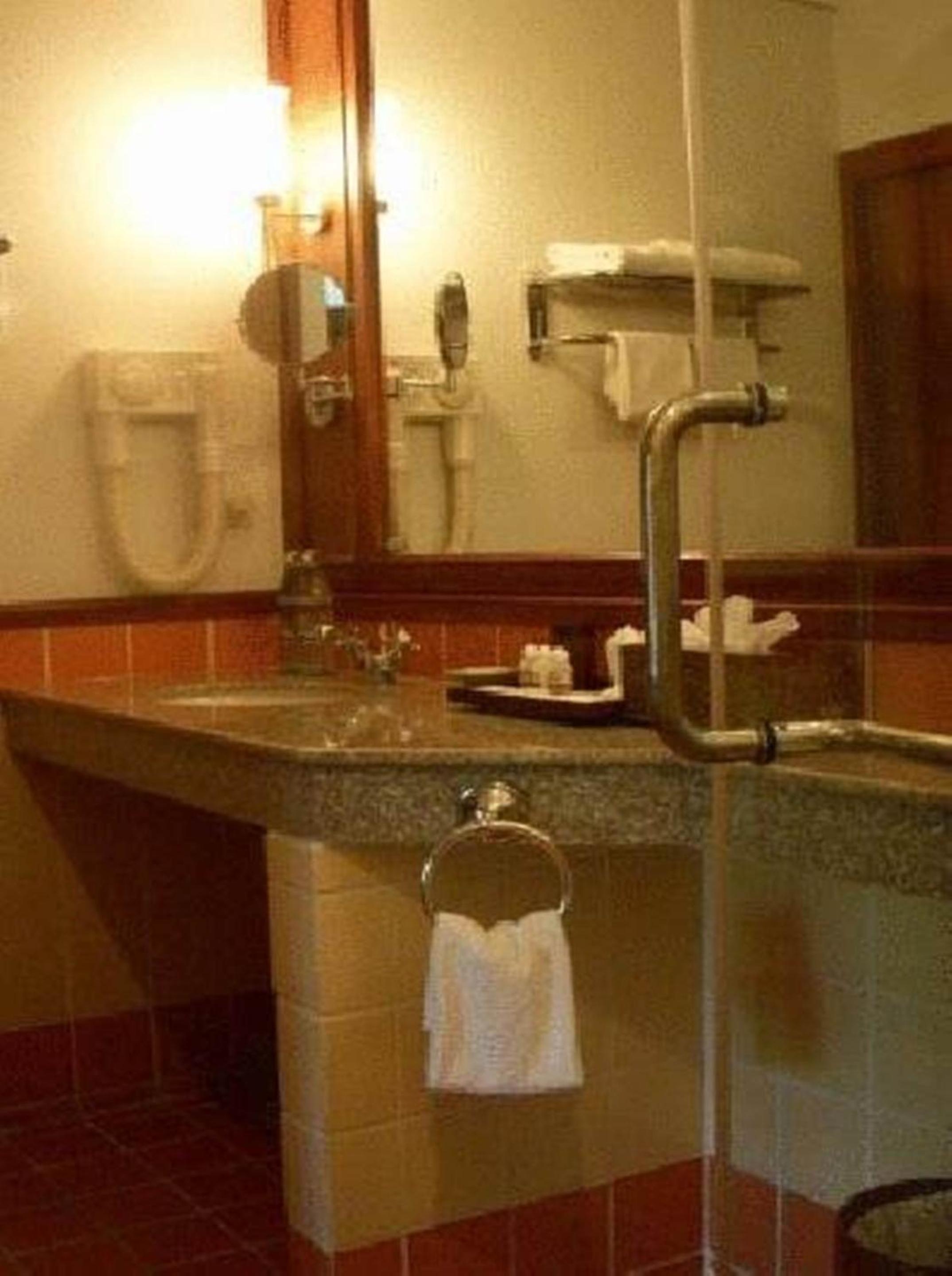 Deluxe Double or Twin Room photo 2