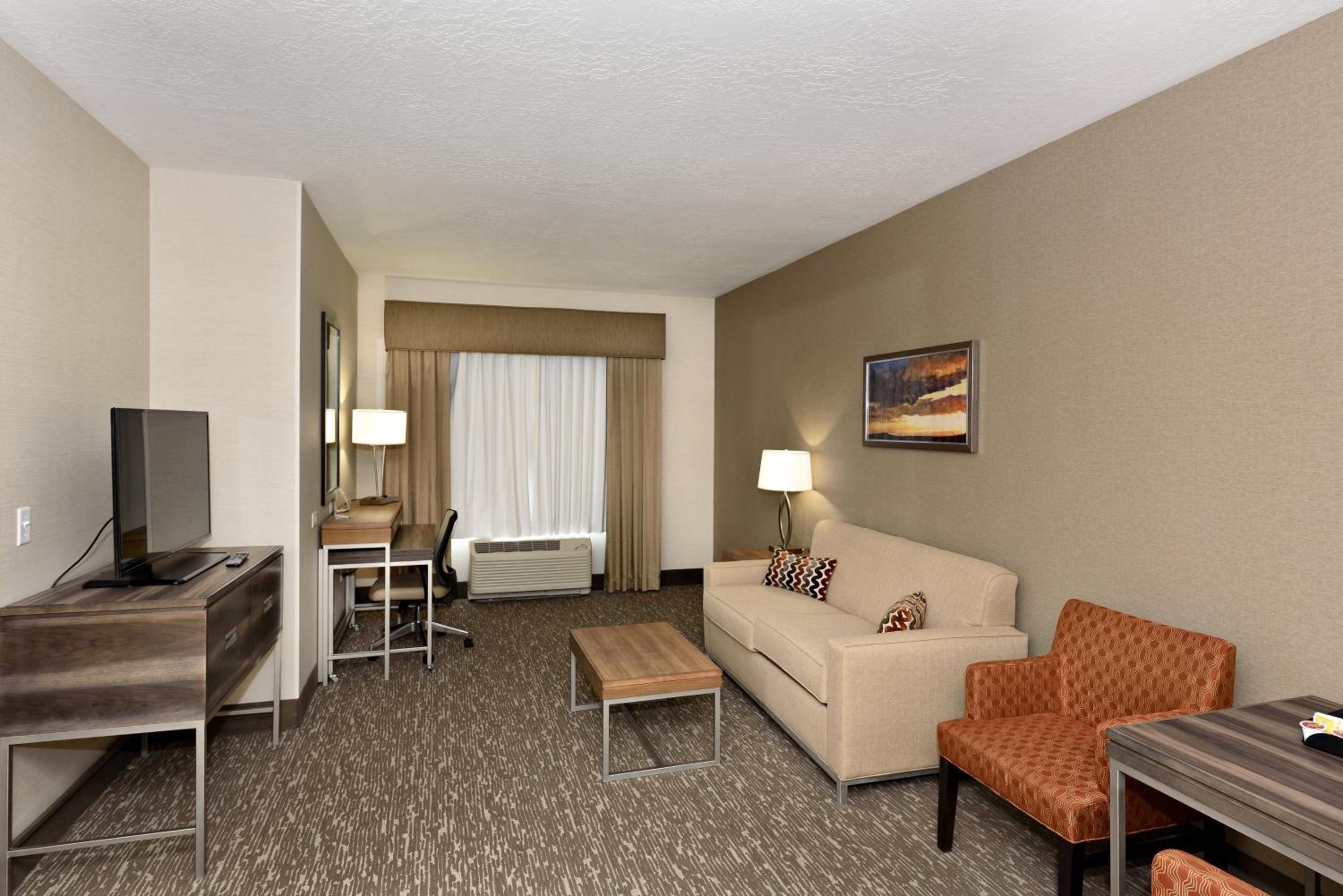 One-Bedroom King Suite with Sofa Bed