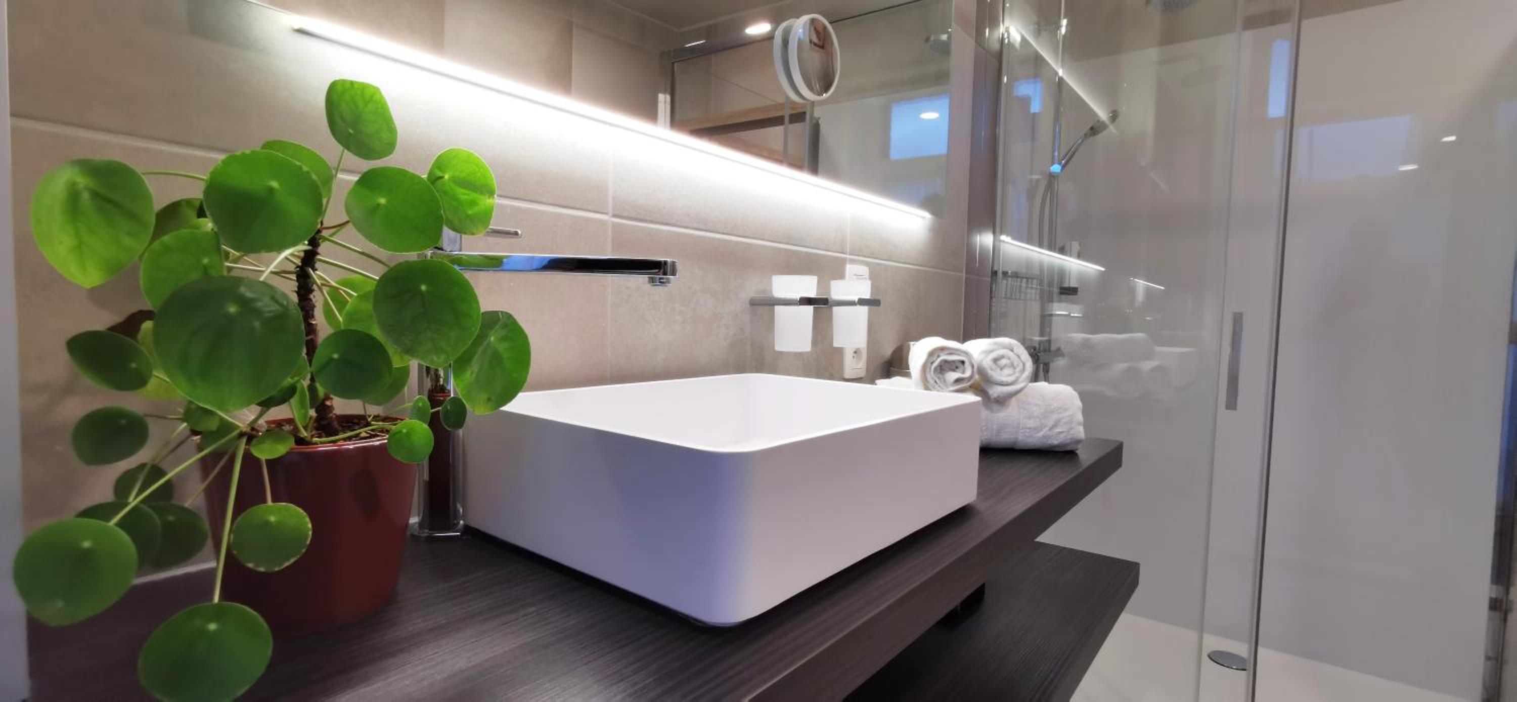 Superior Double Room with Terrace photo 3