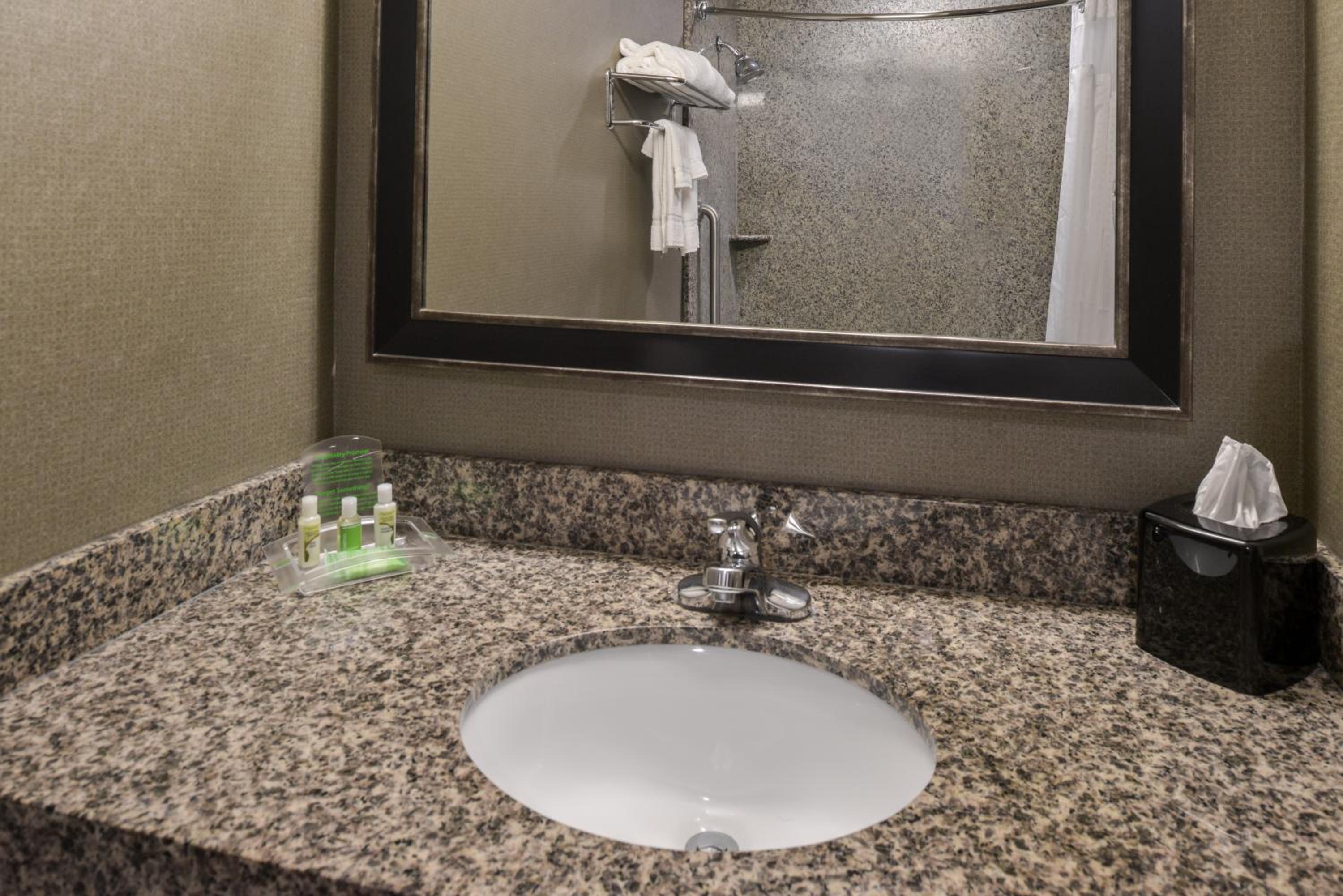 Standard King Room with Mobility Accessible Tub photo 3