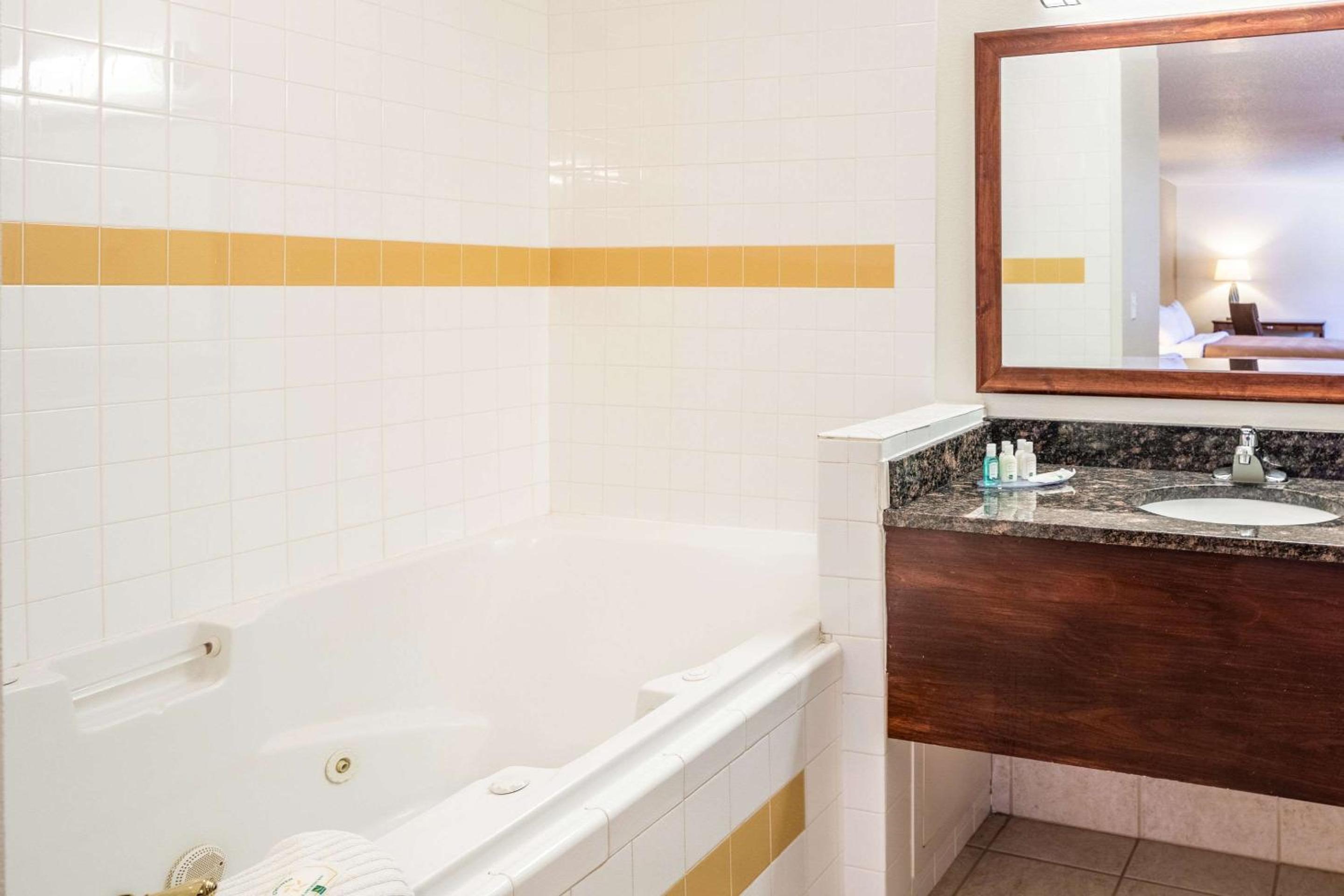 Superior Efficiency Family Suite - Non Smoking - Photo 9