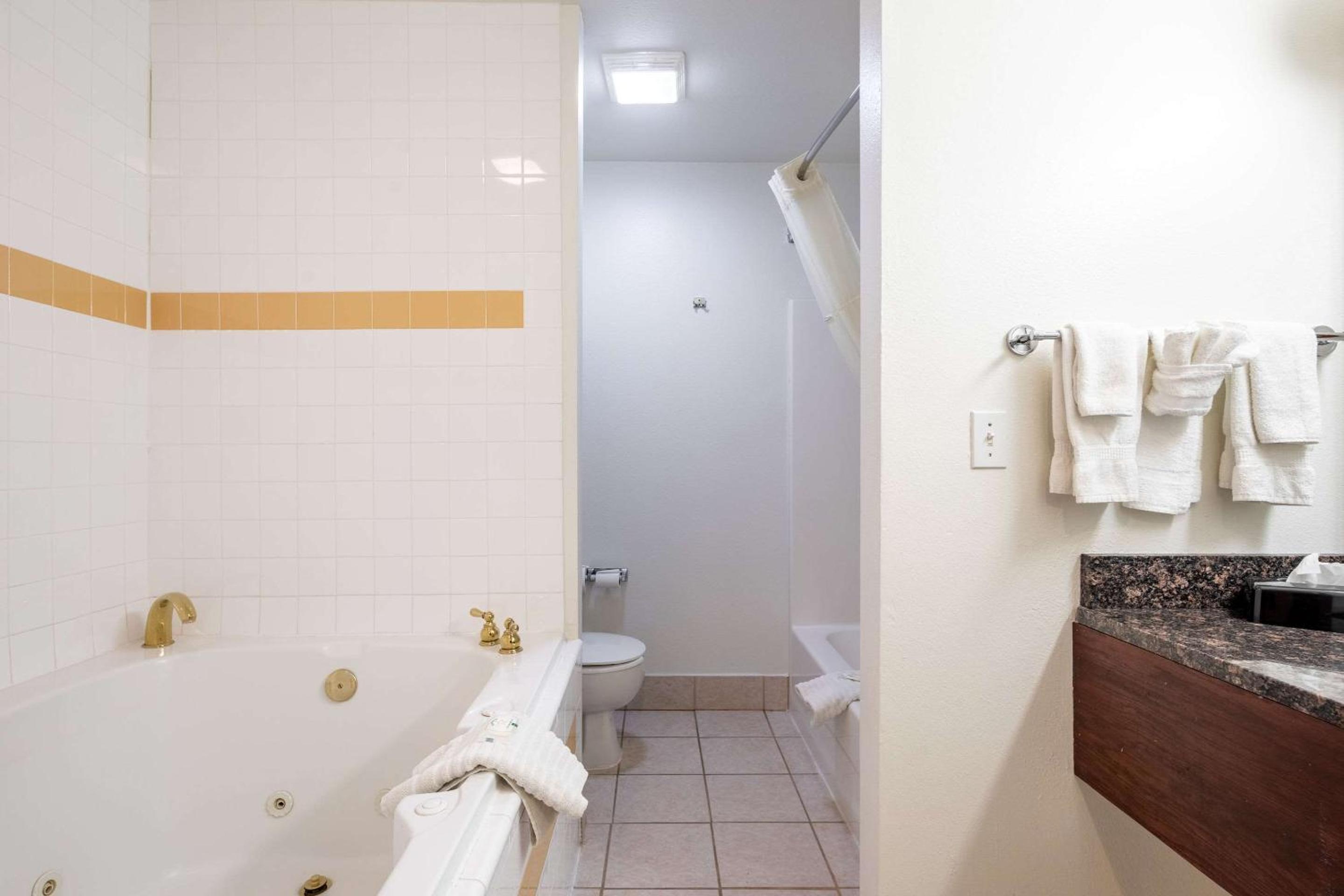 Superior Efficiency Family Suite - Non Smoking - Photo 7