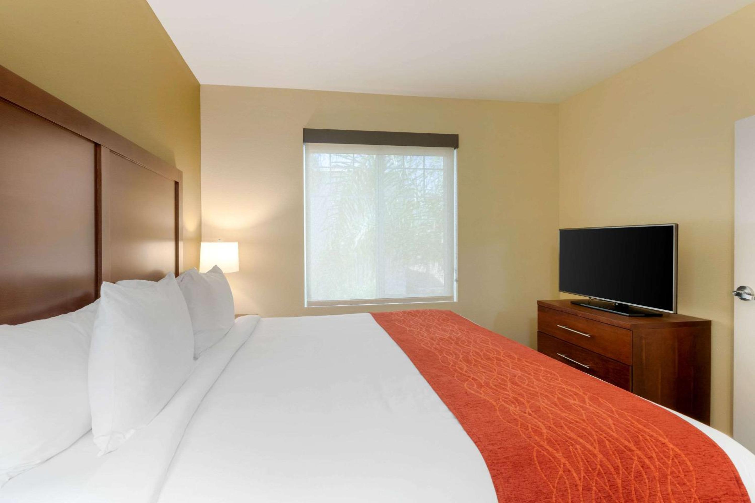 Suite, 1 King Bed with Sofa Bed, Non Smoking - Photo 2