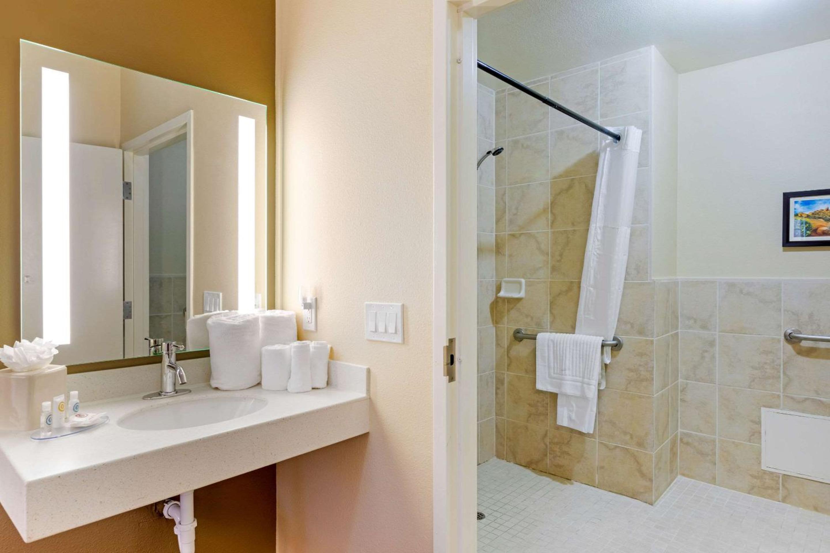 Accessible Room, 1 King Bed, Roll-In Shower, Non Smoking - Photo 4