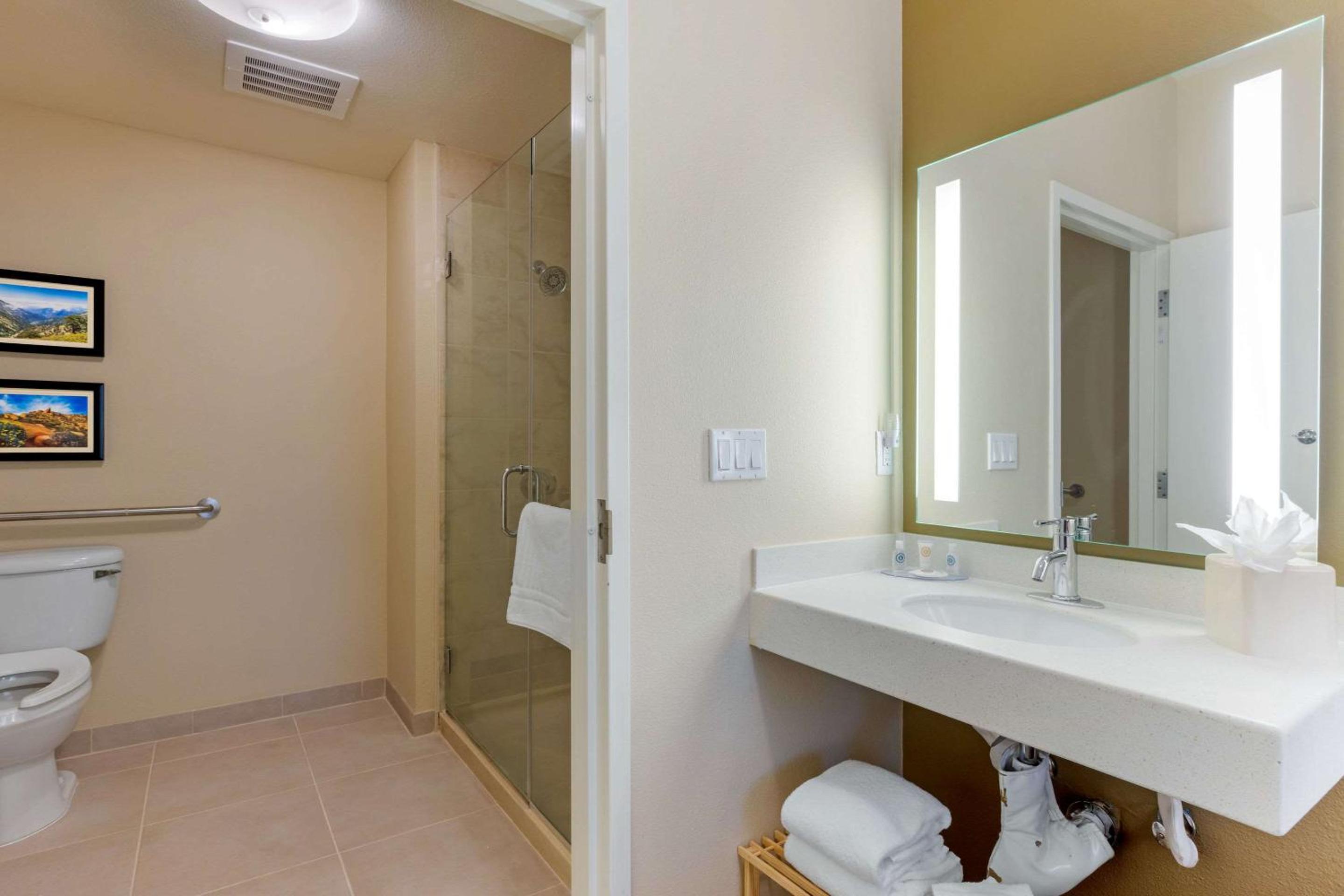 Accessible Room,, 1 King Bed, Transfer Shower, Non Smoking - Photo 2