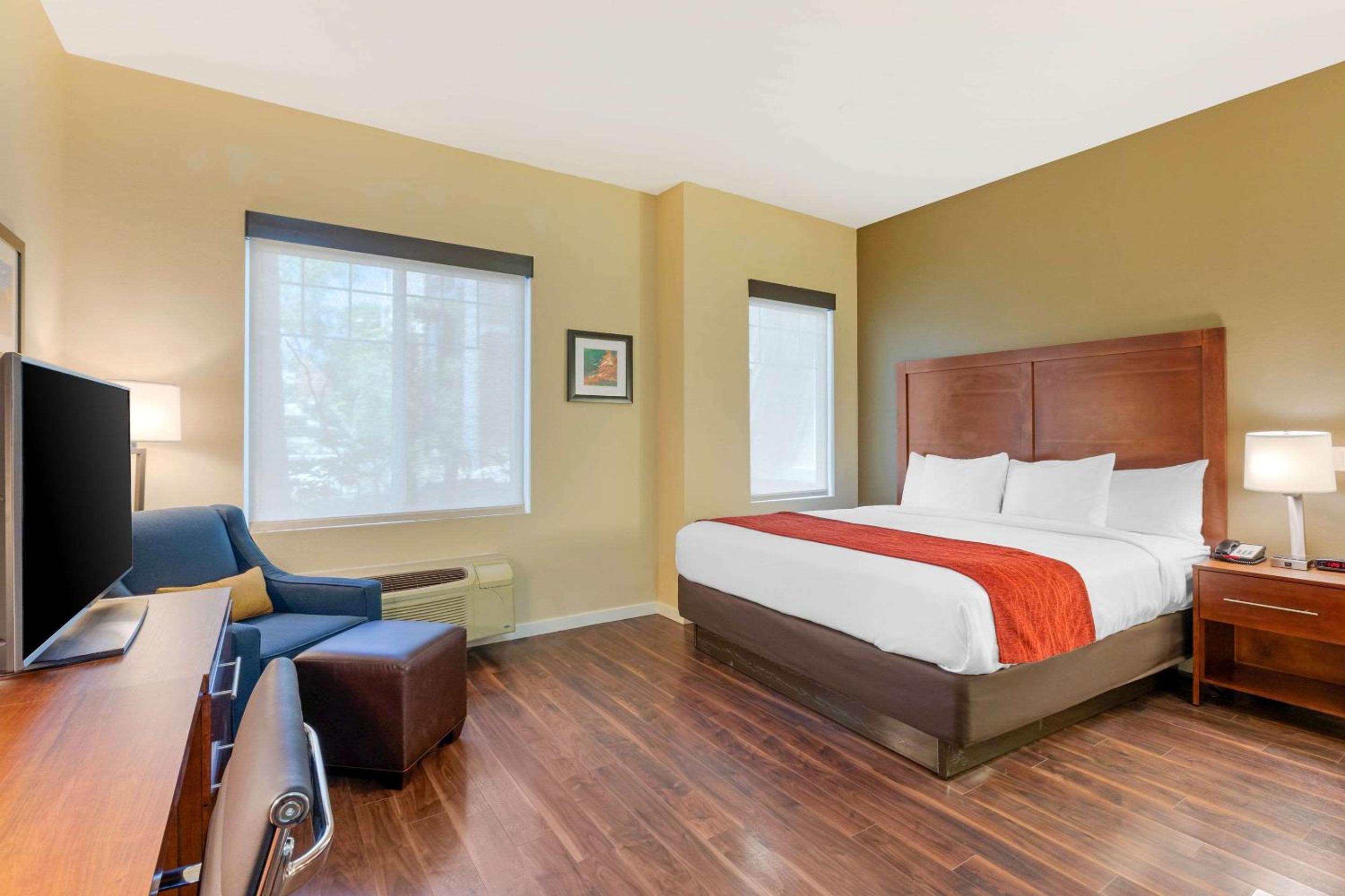 Accessible Room, 1 King Bed, Roll-In Shower, Non Smoking - Photo 2