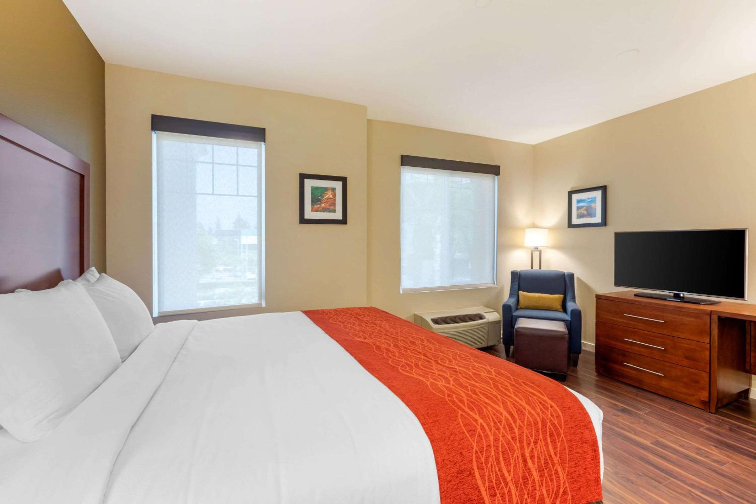 Accessible Room, 1 King Bed, Hearing Accessible, Non Smoking - Photo 2
