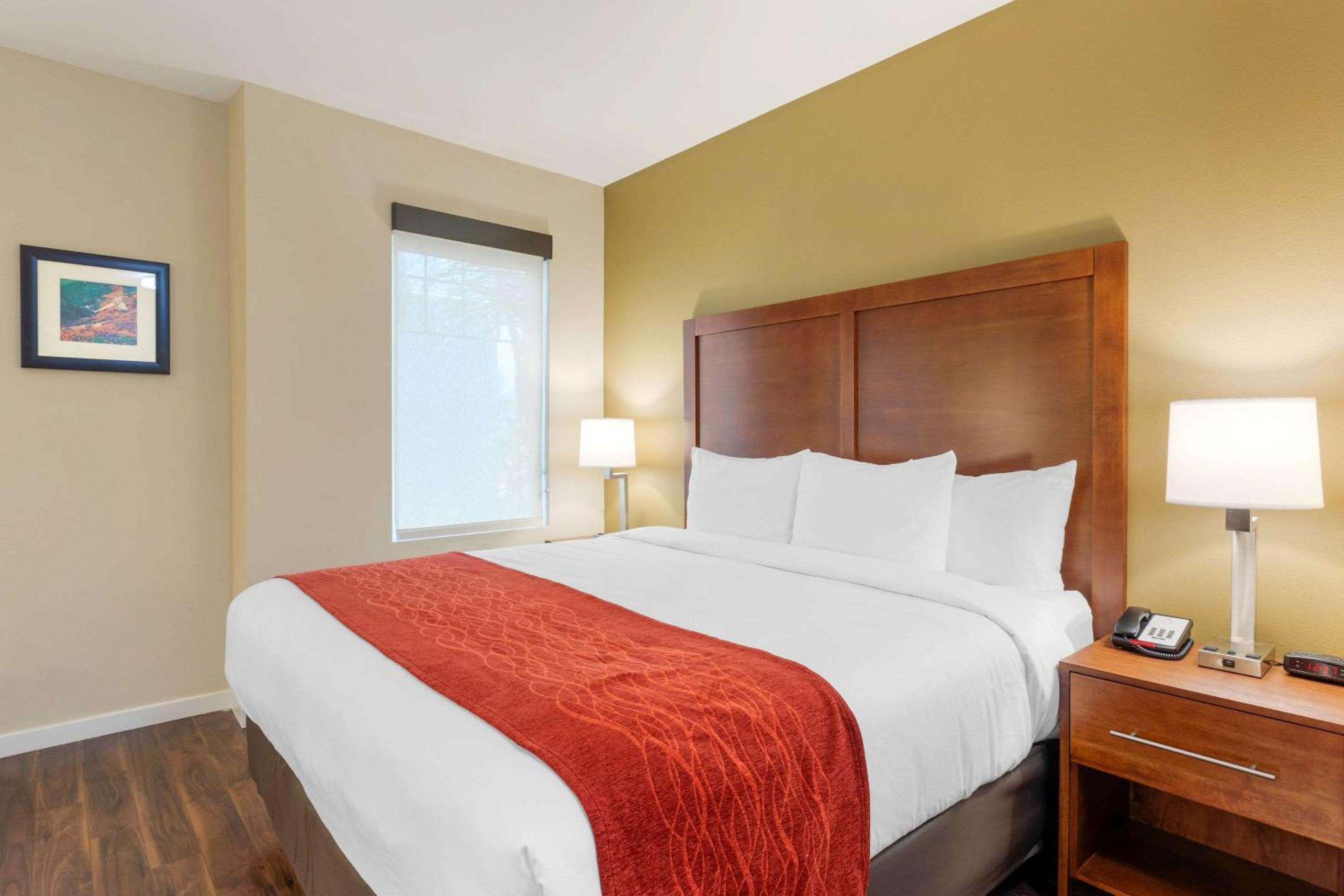Standard Room, 1 King Bed, Non Smoking - Photo 3