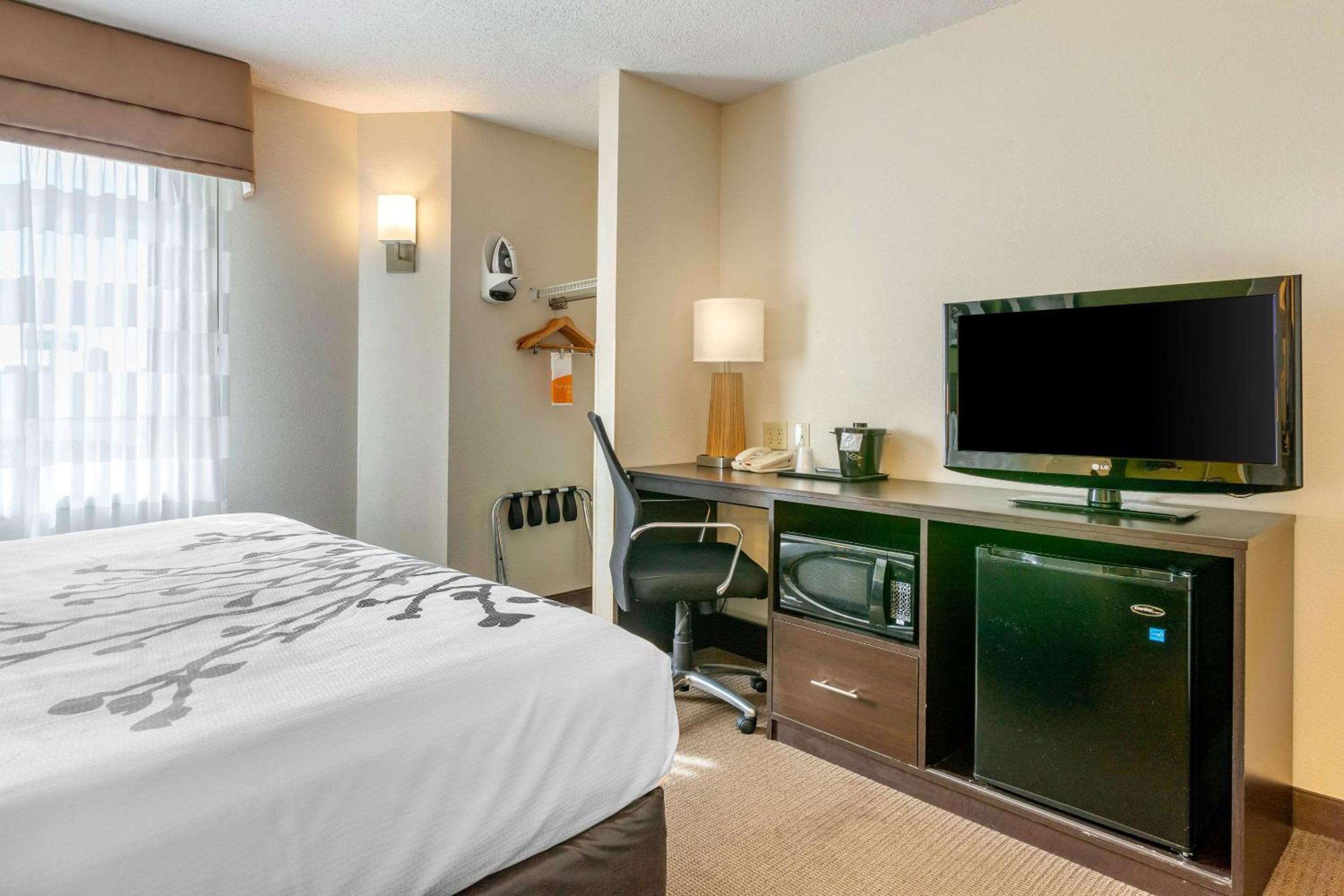 King Room - Non-Smoking photo 2