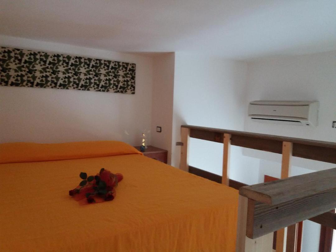 Duplex Studio