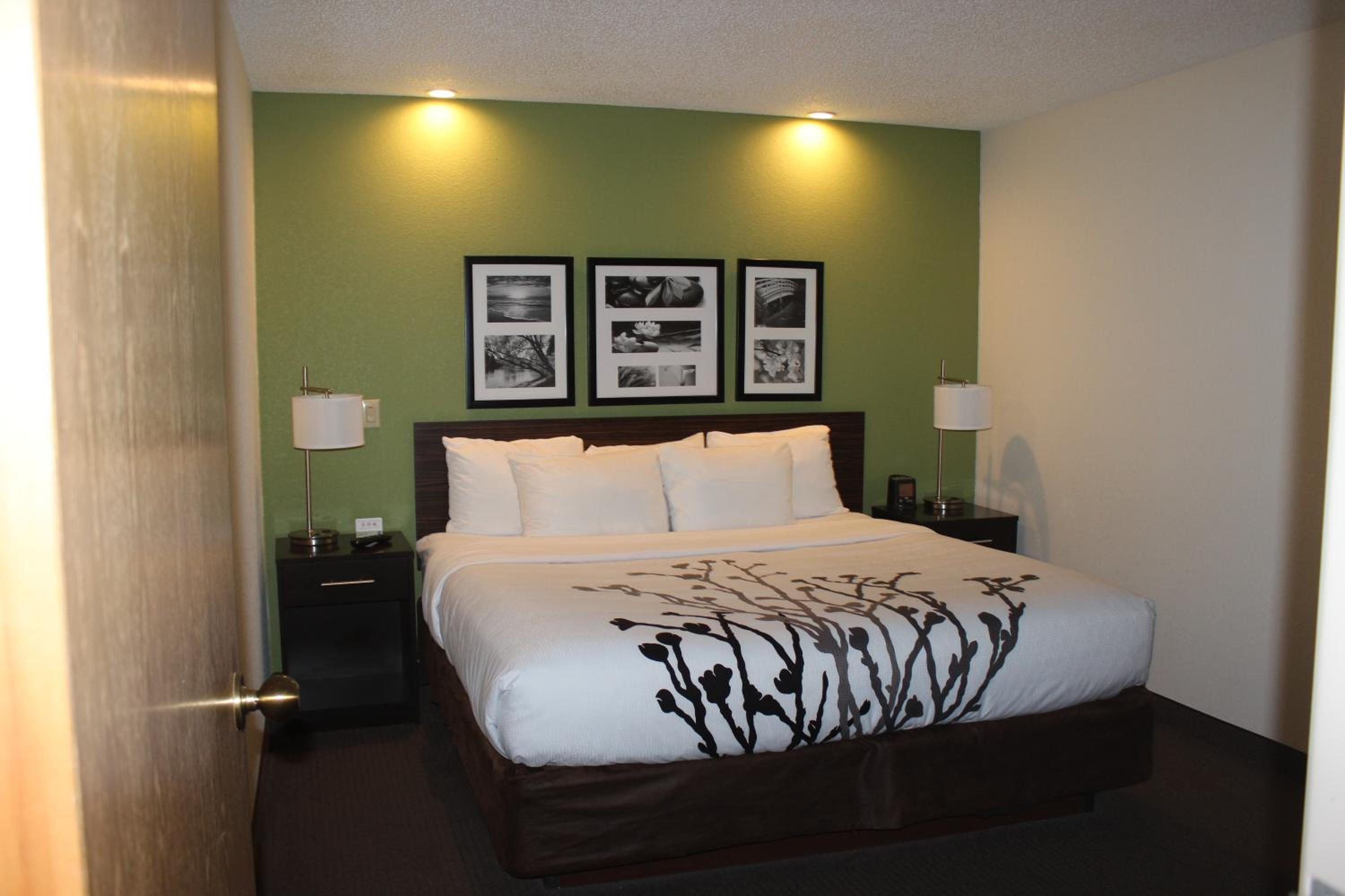 King Room - Non-Smoking - Photo 1