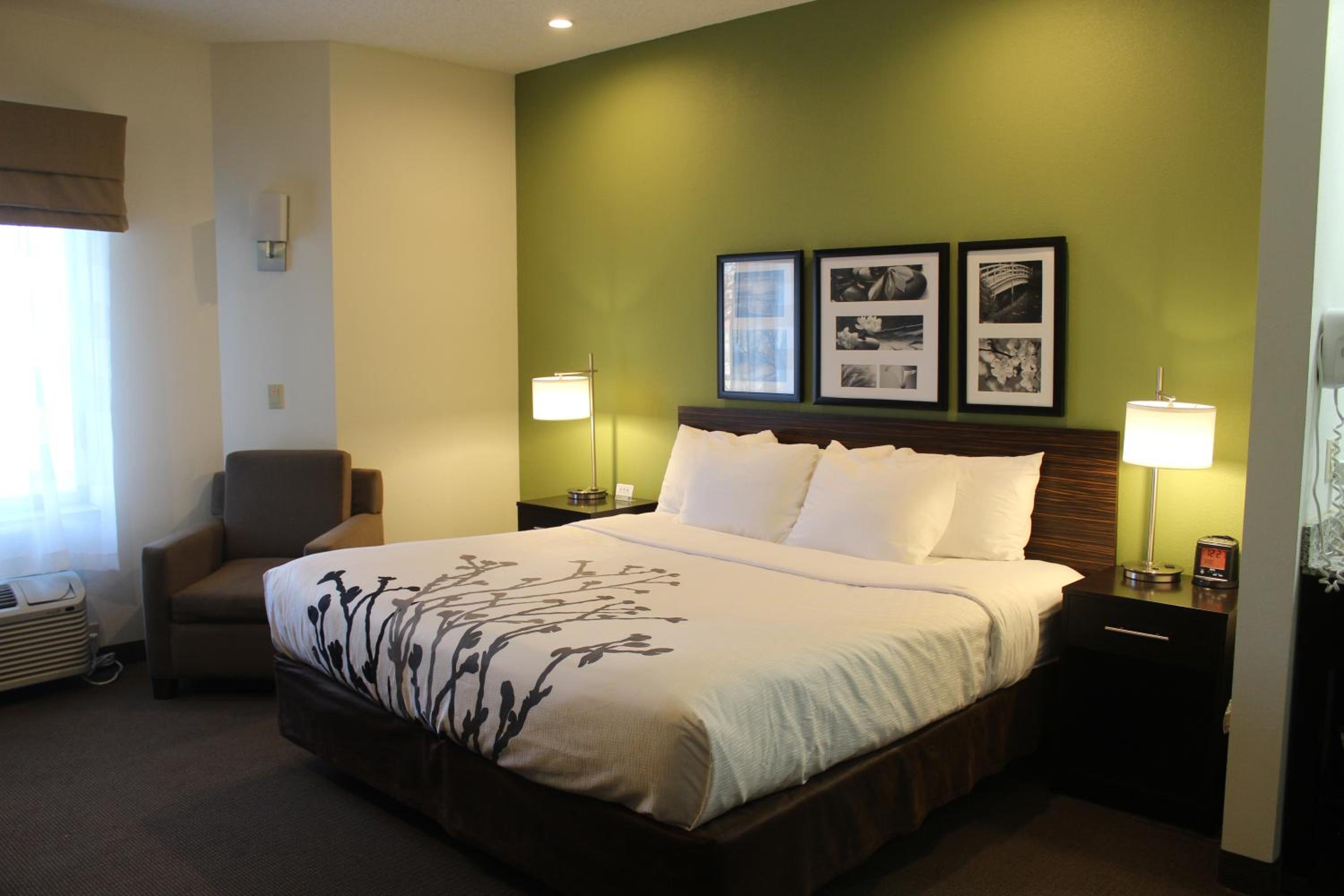 King Room - Non-Smoking - Photo 2