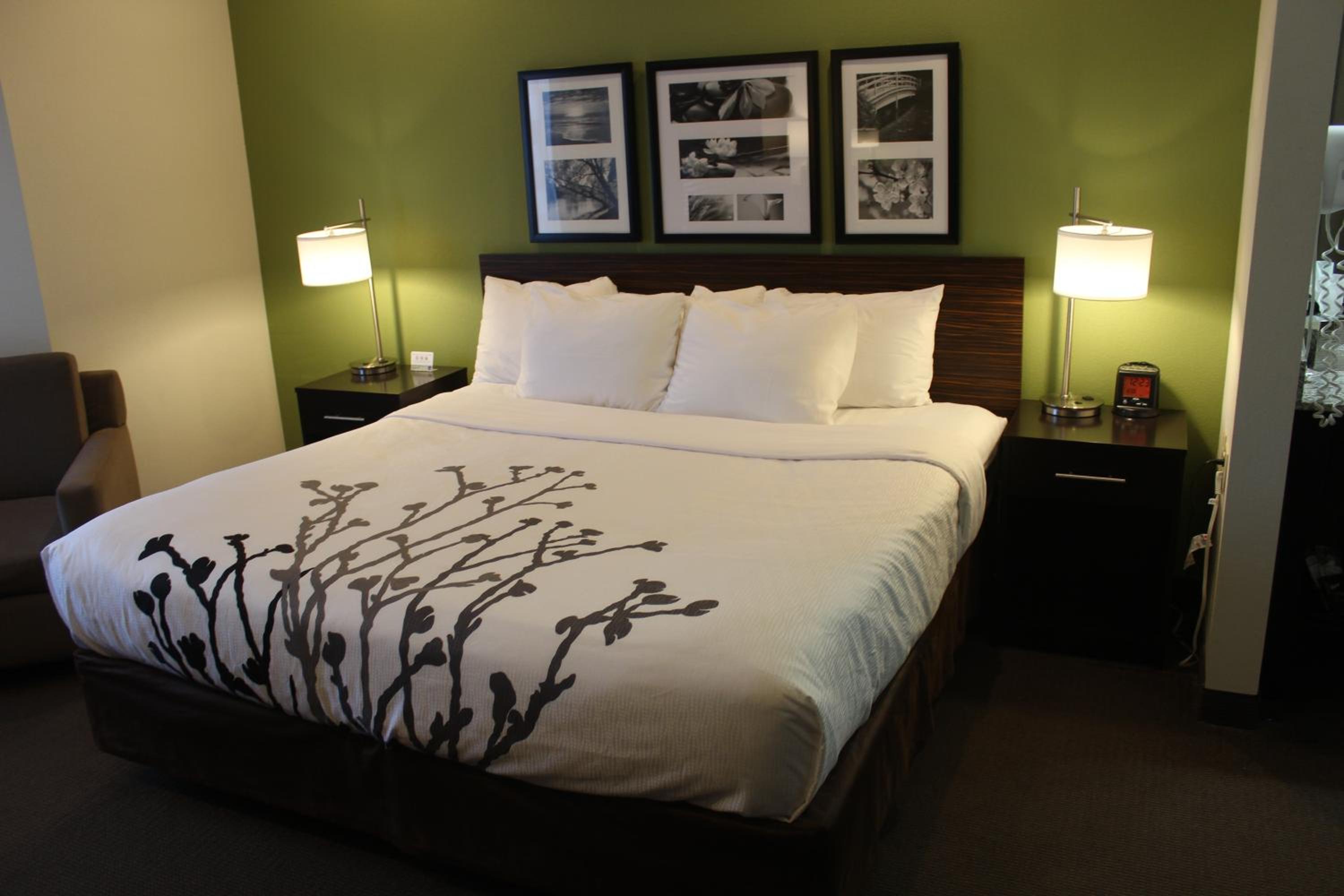 King Room - Non-Smoking - Photo 4