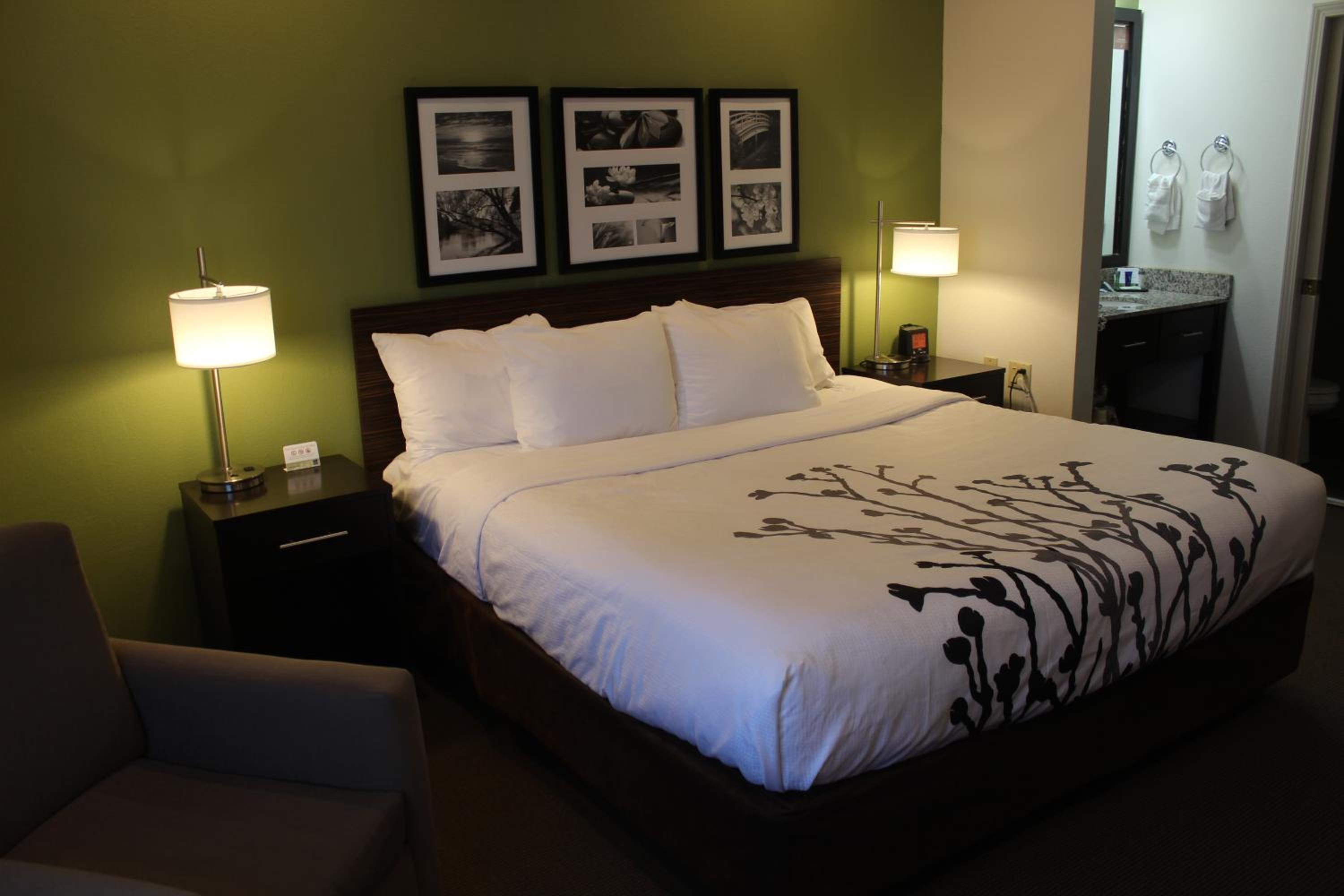 King Room - Non-Smoking - Photo 5