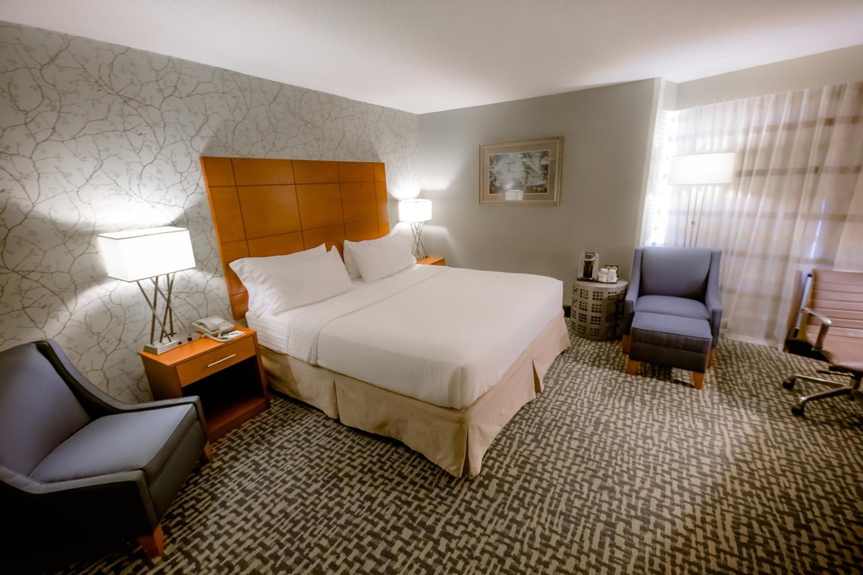 King Suite With Sofa Bed - Hearing Accessible photo 2