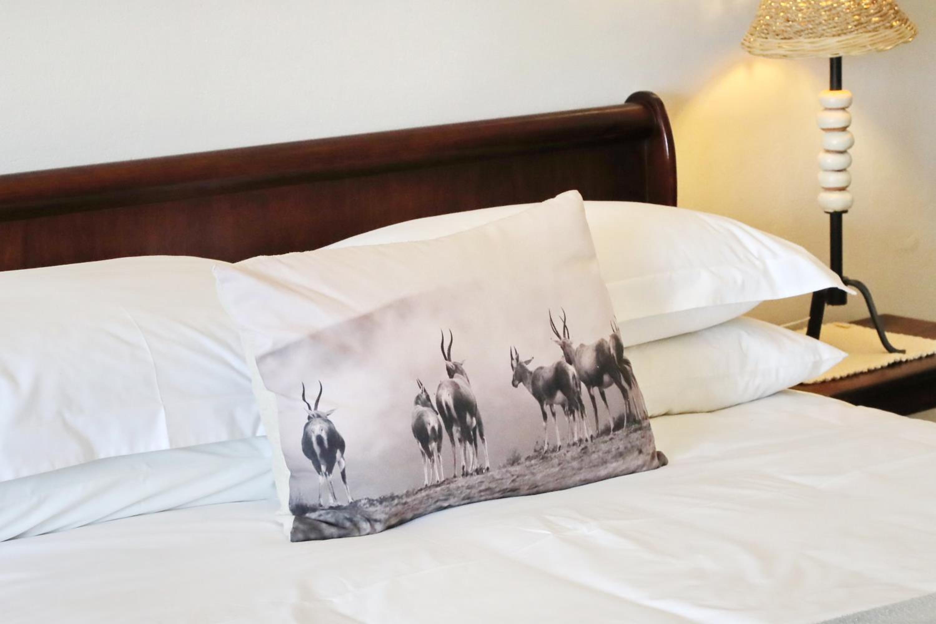  Double Room - Not Pet Friendly - Photo 11
