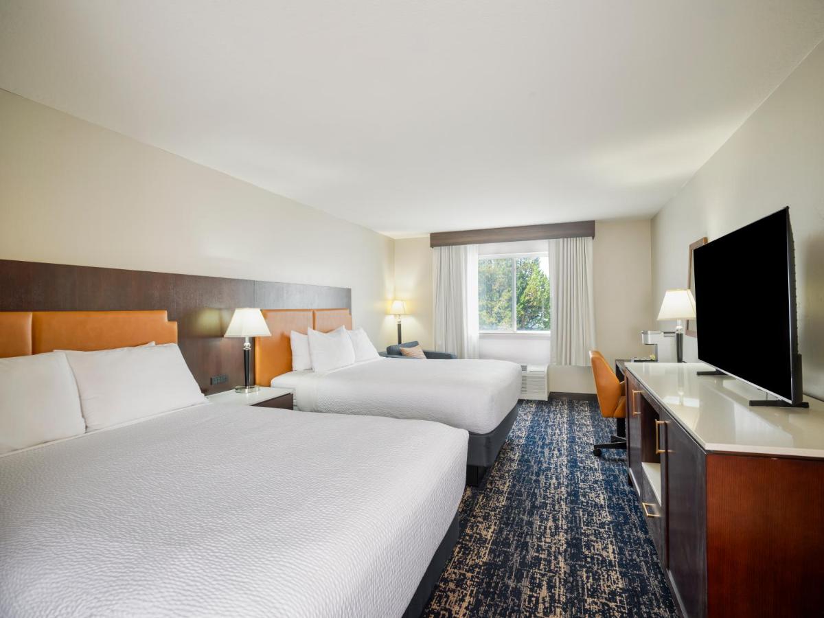 Deluxe queen room with Roll-in shower