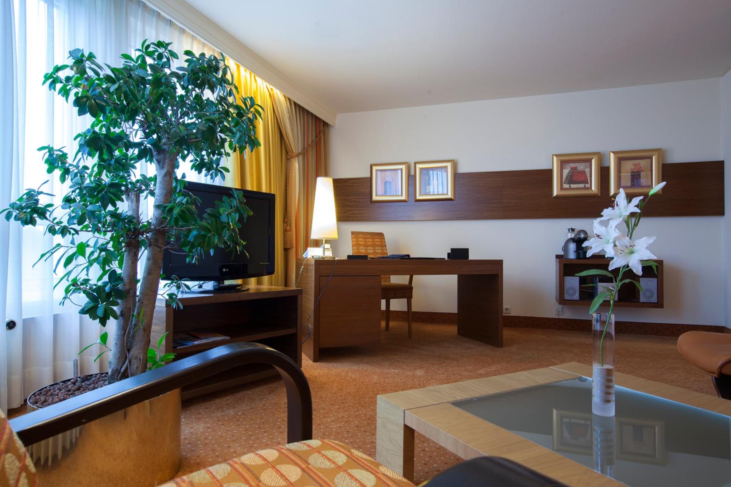 Suite - Photo 3