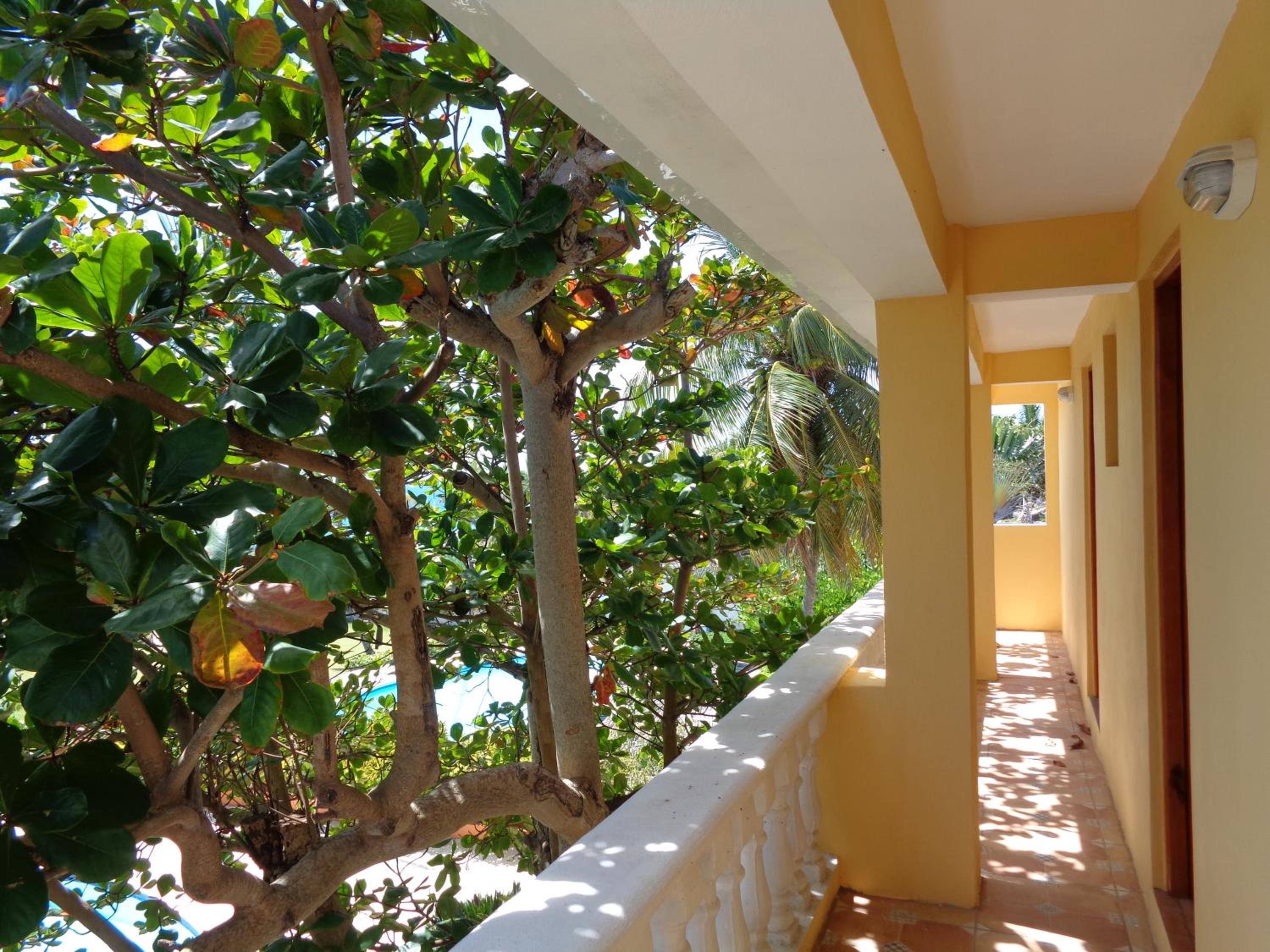 King Suite with Sea View photo 3