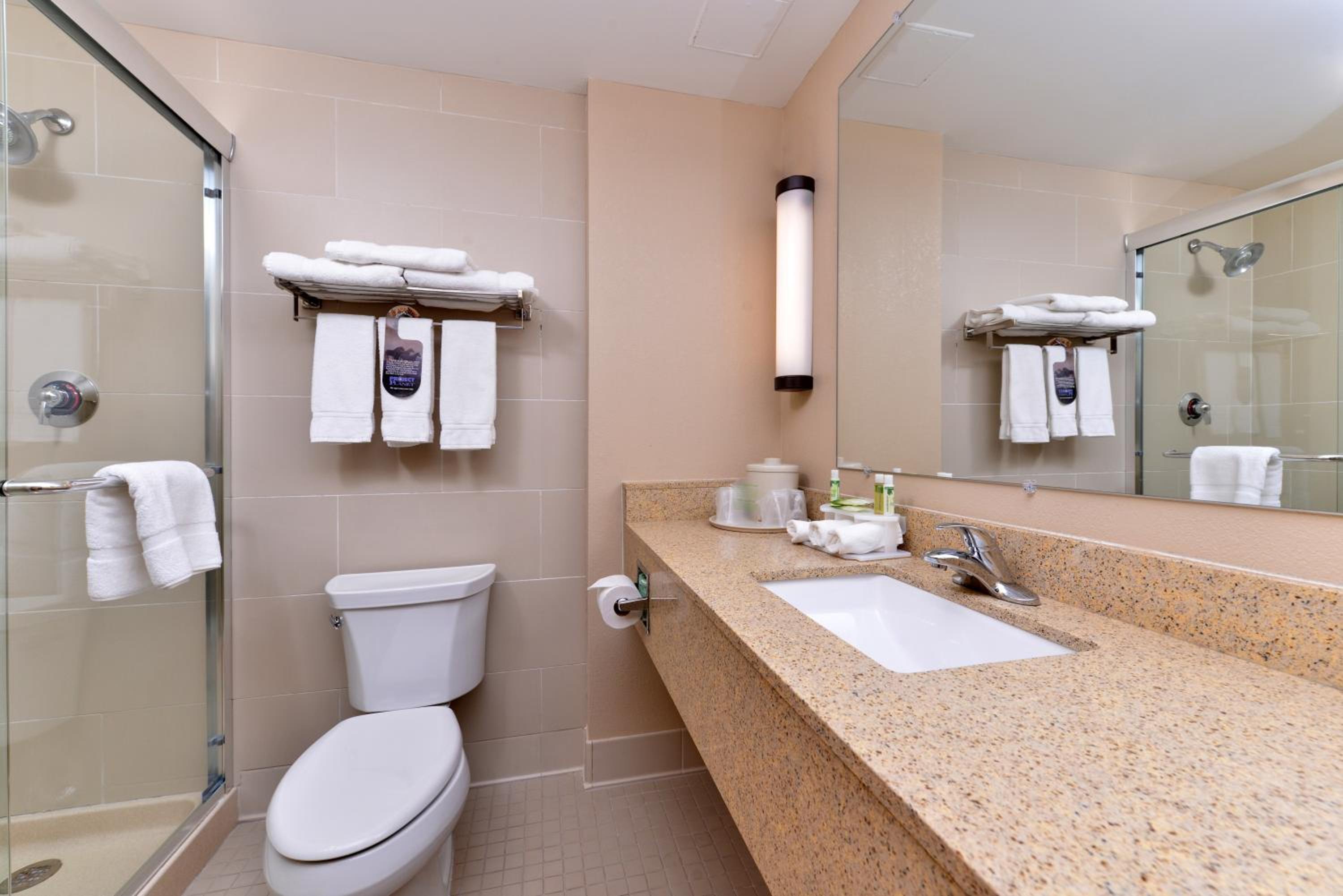 Standard King Room with Walk-In Shower - Photo 2