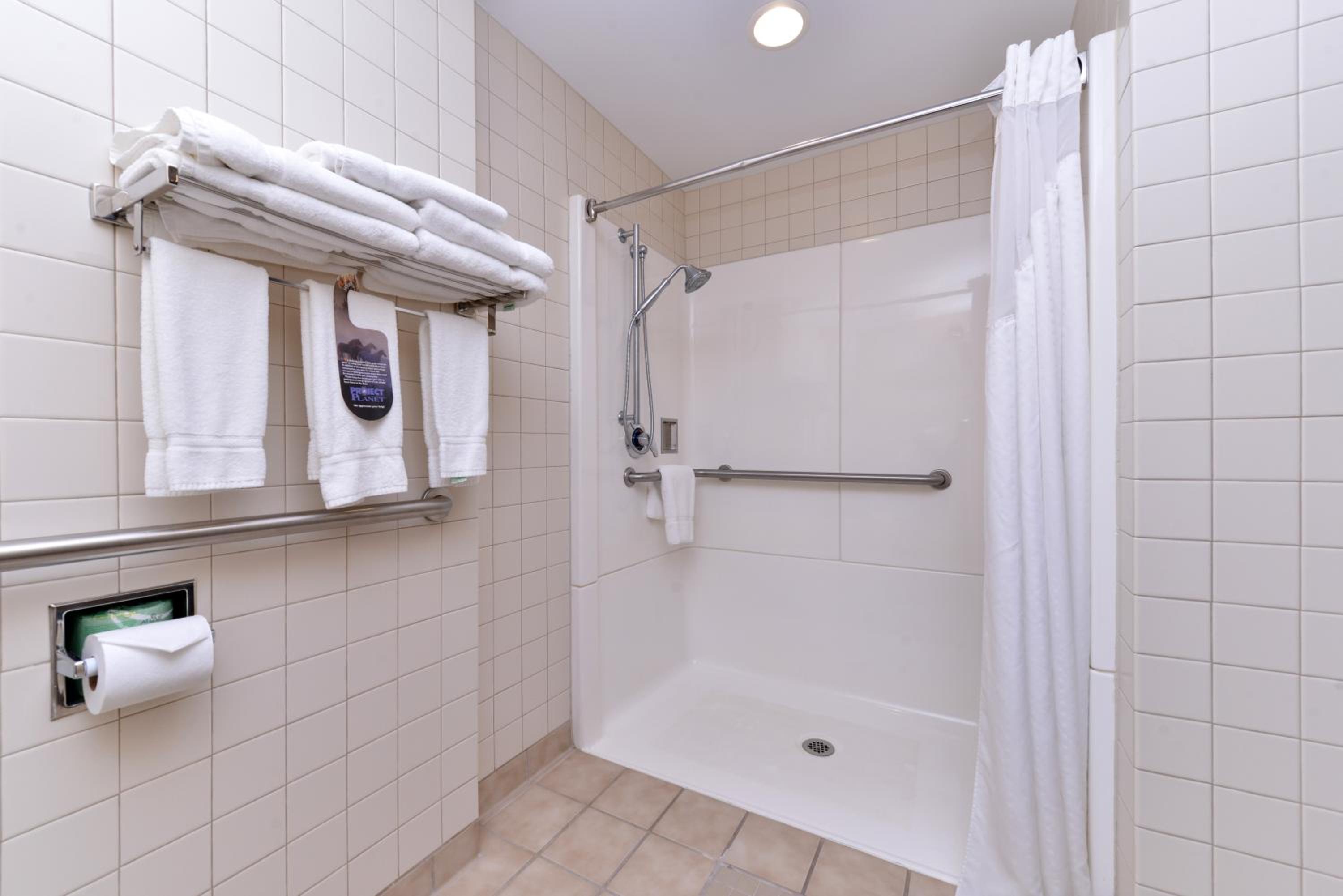 King Room - Disability Access Roll in Shower - Photo 5