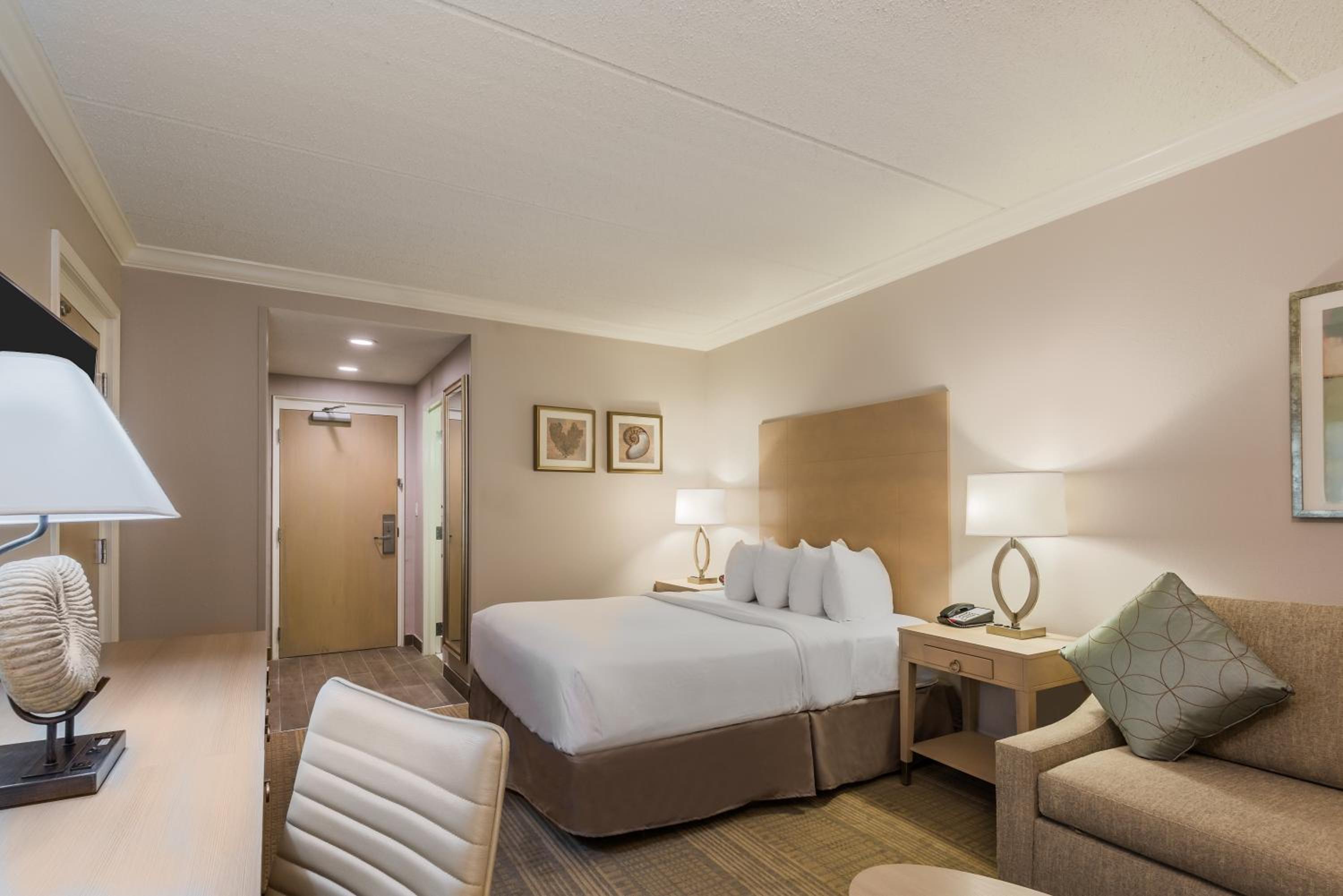 Queen Suite with Sofa Bed - Photo 1