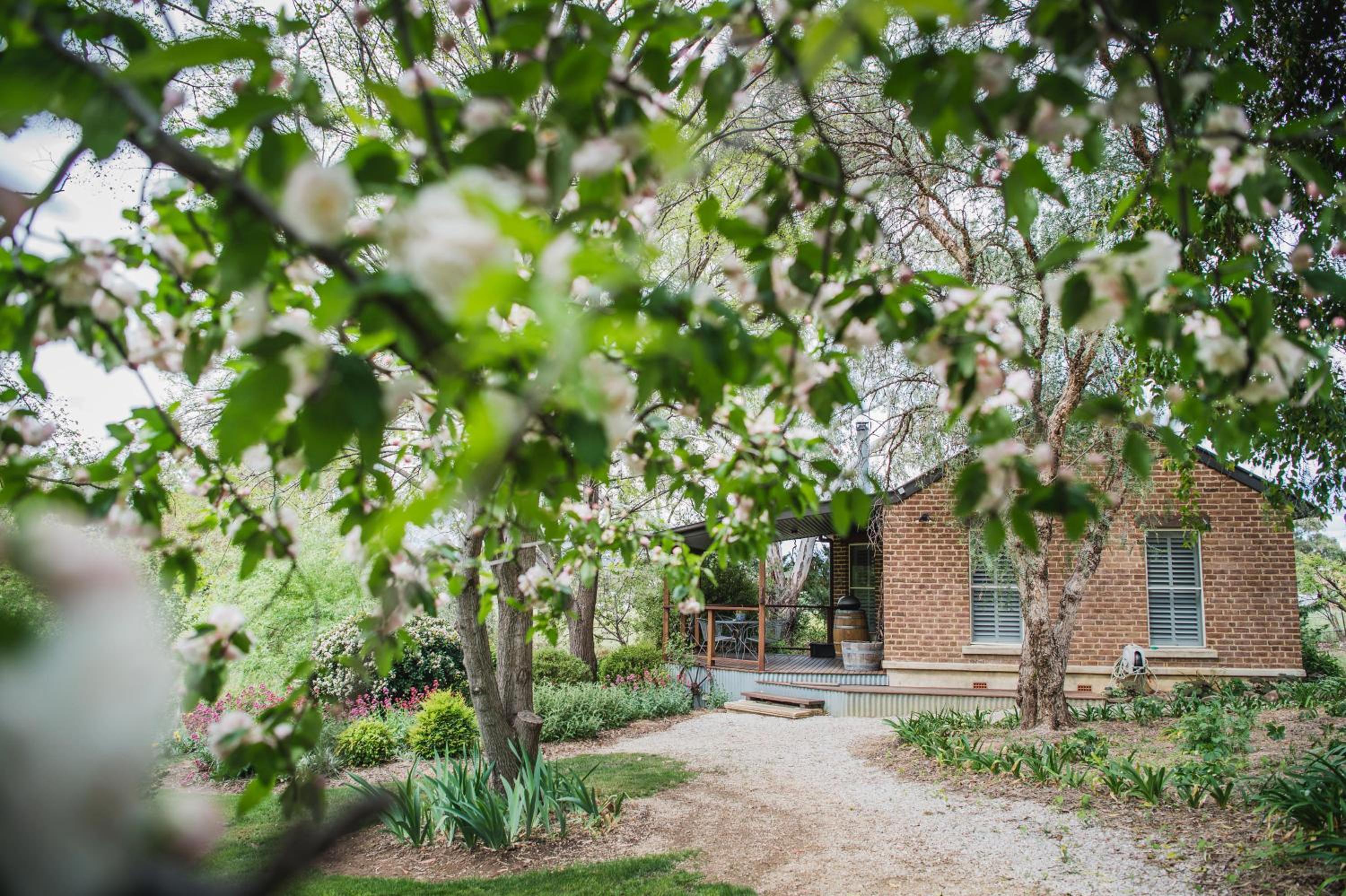 Deluxe Villa - Orchard Cottage - Photo 2