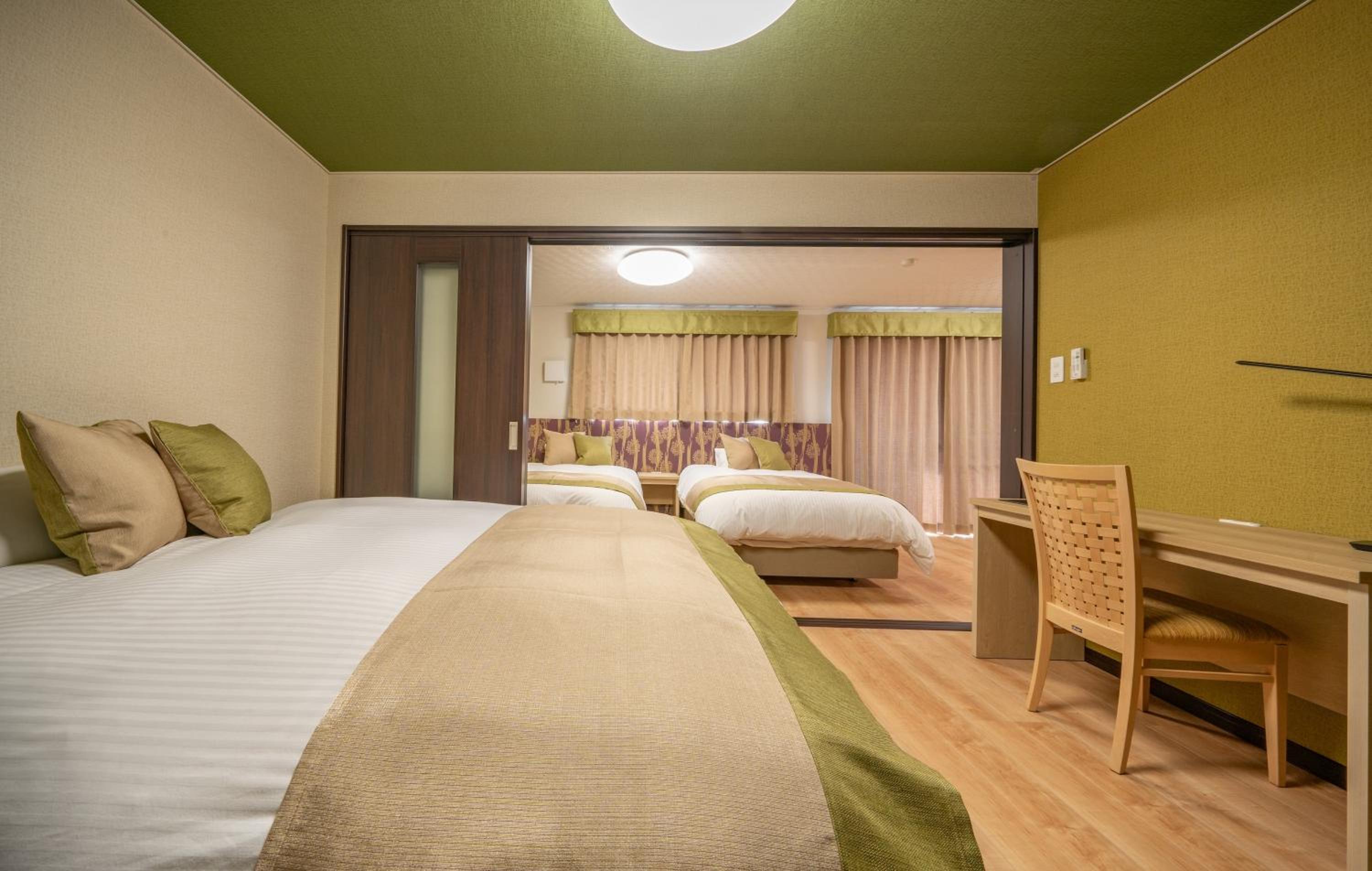 Deluxe Suite - Photo 11