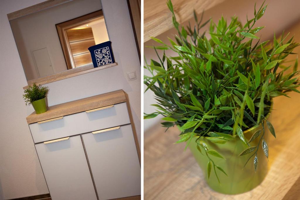 Apartment with Terrace photo 2