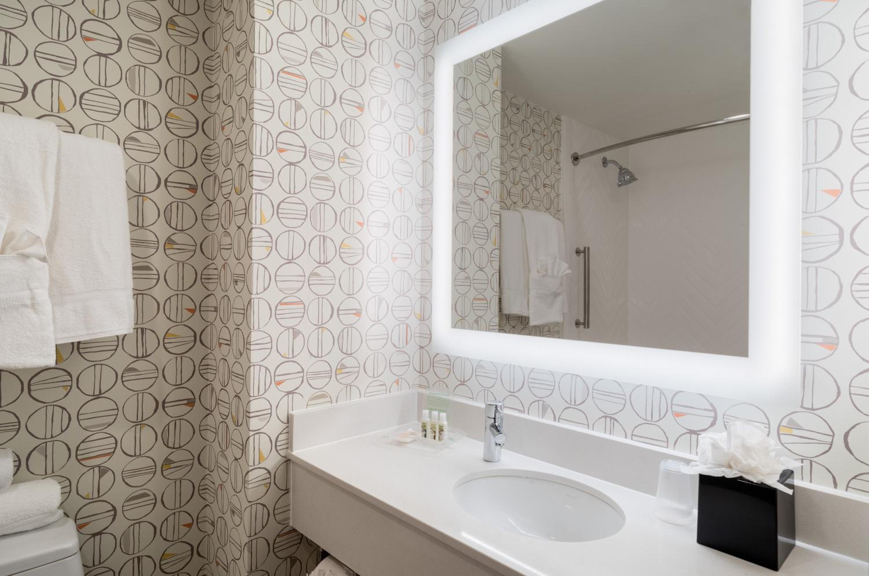 King Room with Mobility Accessible Roll-In Shower