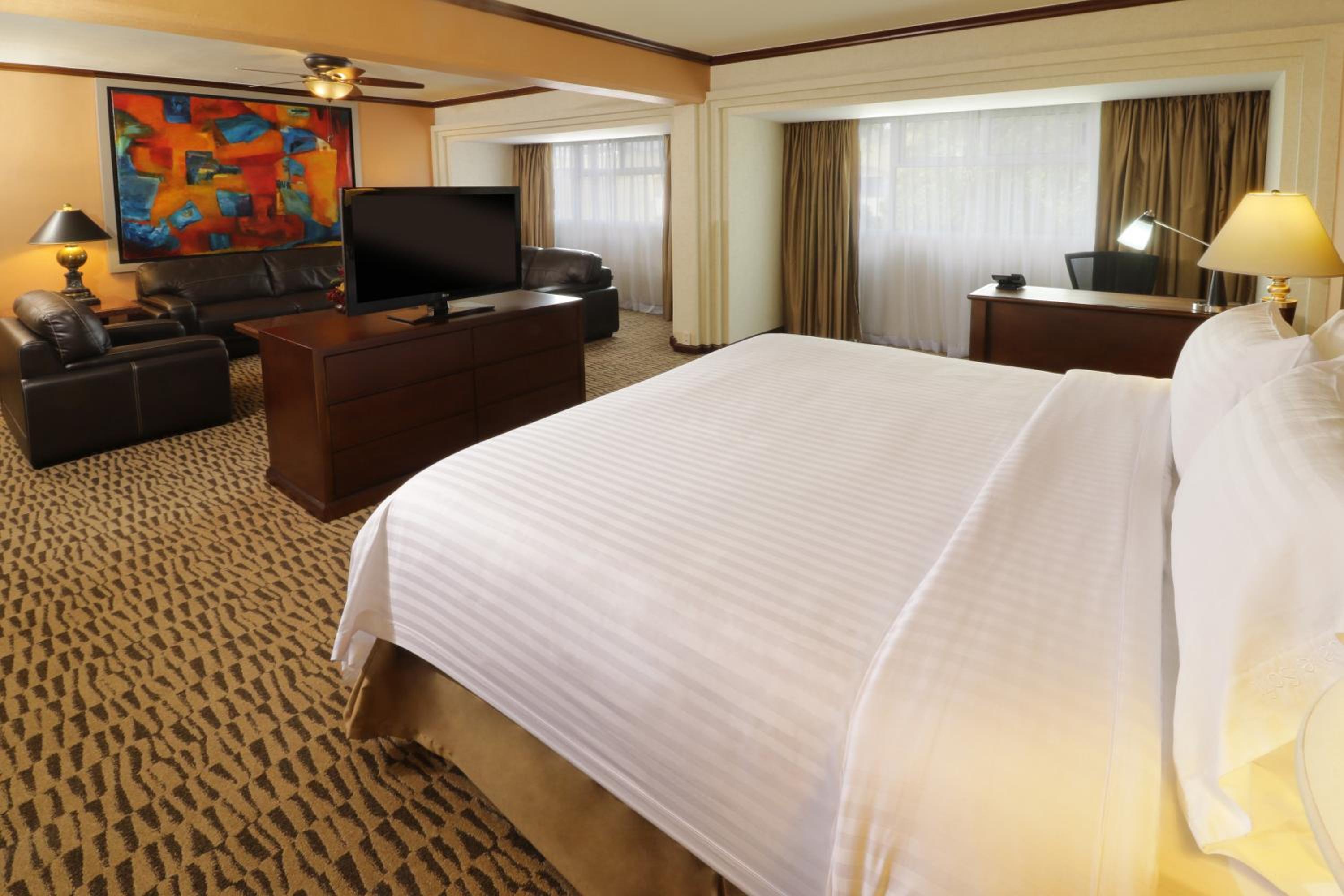 King Suite - Photo 1
