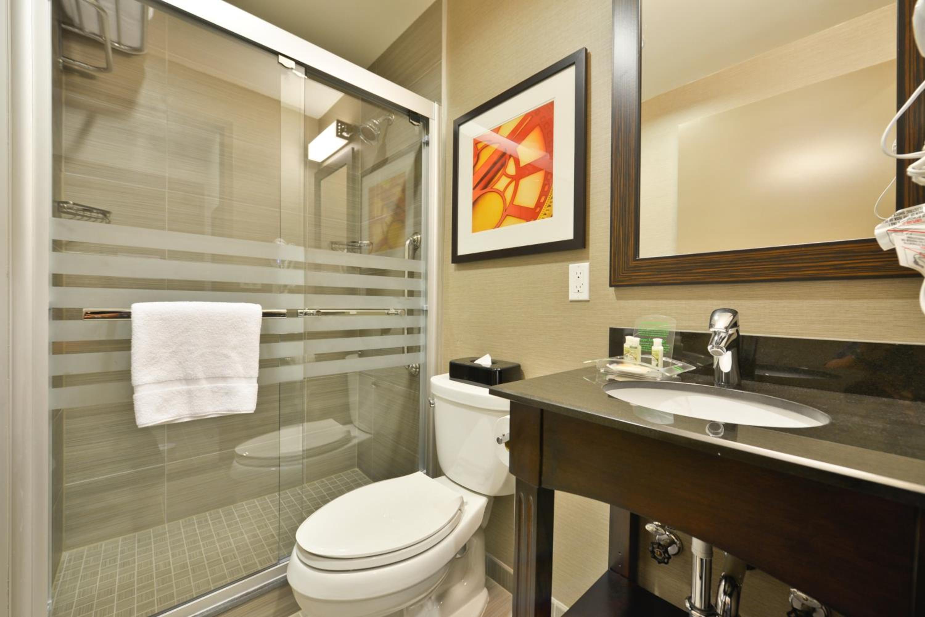 Premier King Room - Non-Smoking
