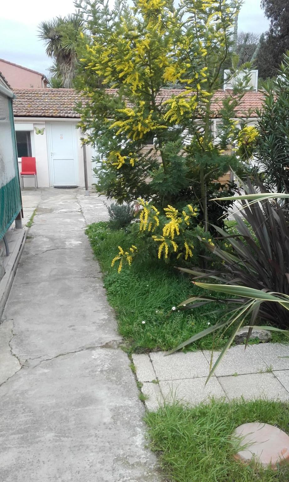 Double Room with Terrace photo 2