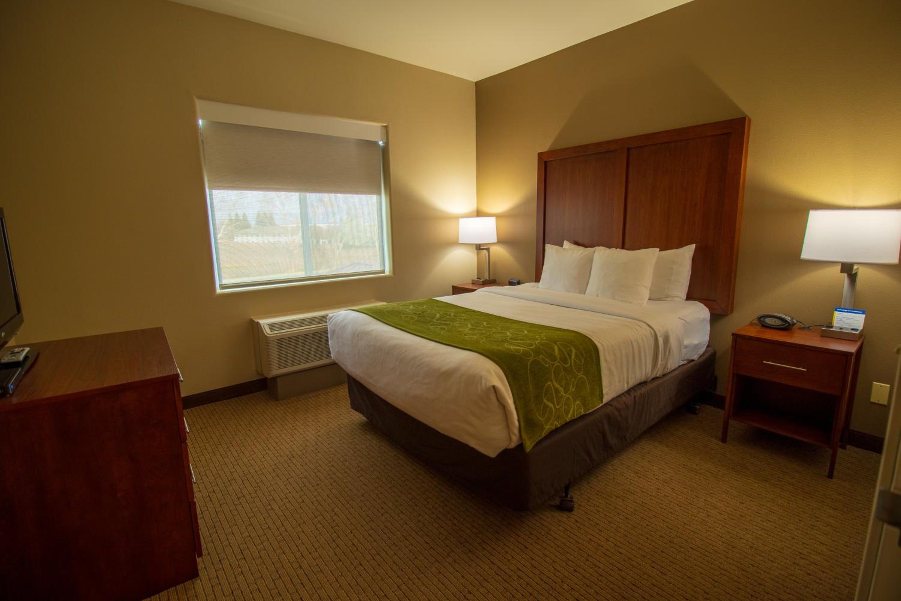 King Suite - Non-Smoking - Photo 3