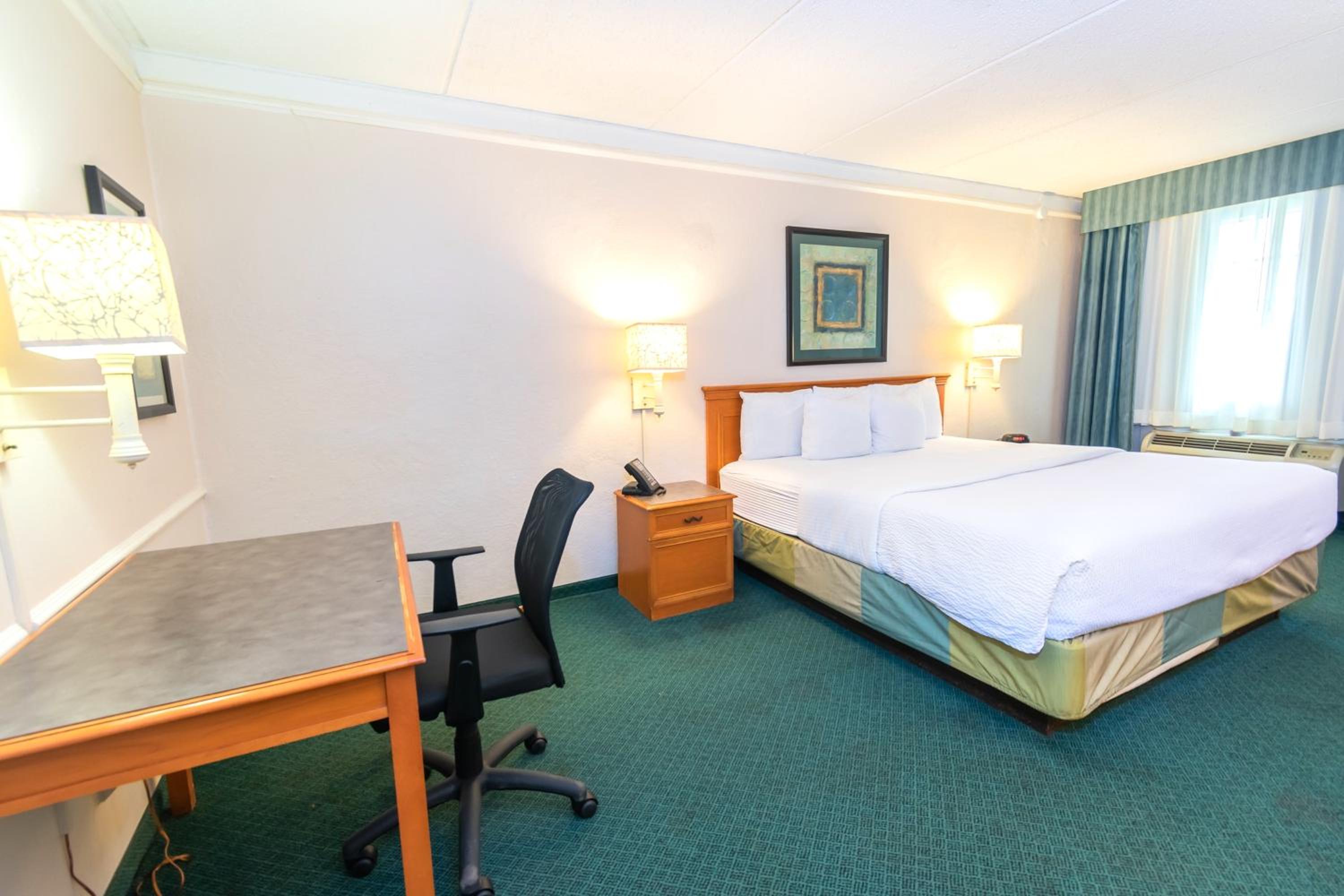 King Room - Non-Smoking - Photo 7