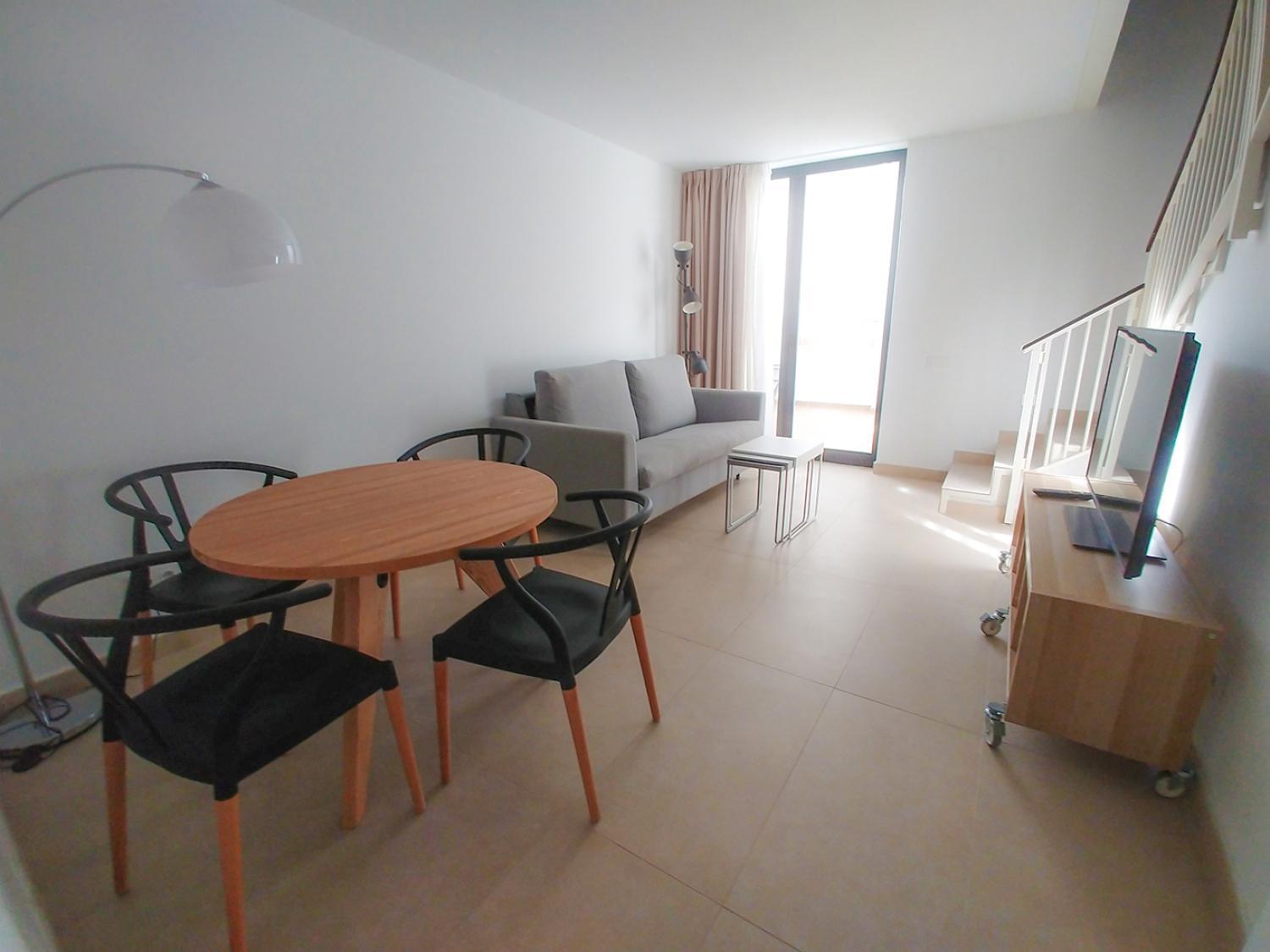 Apartment with Terrace photo 3
