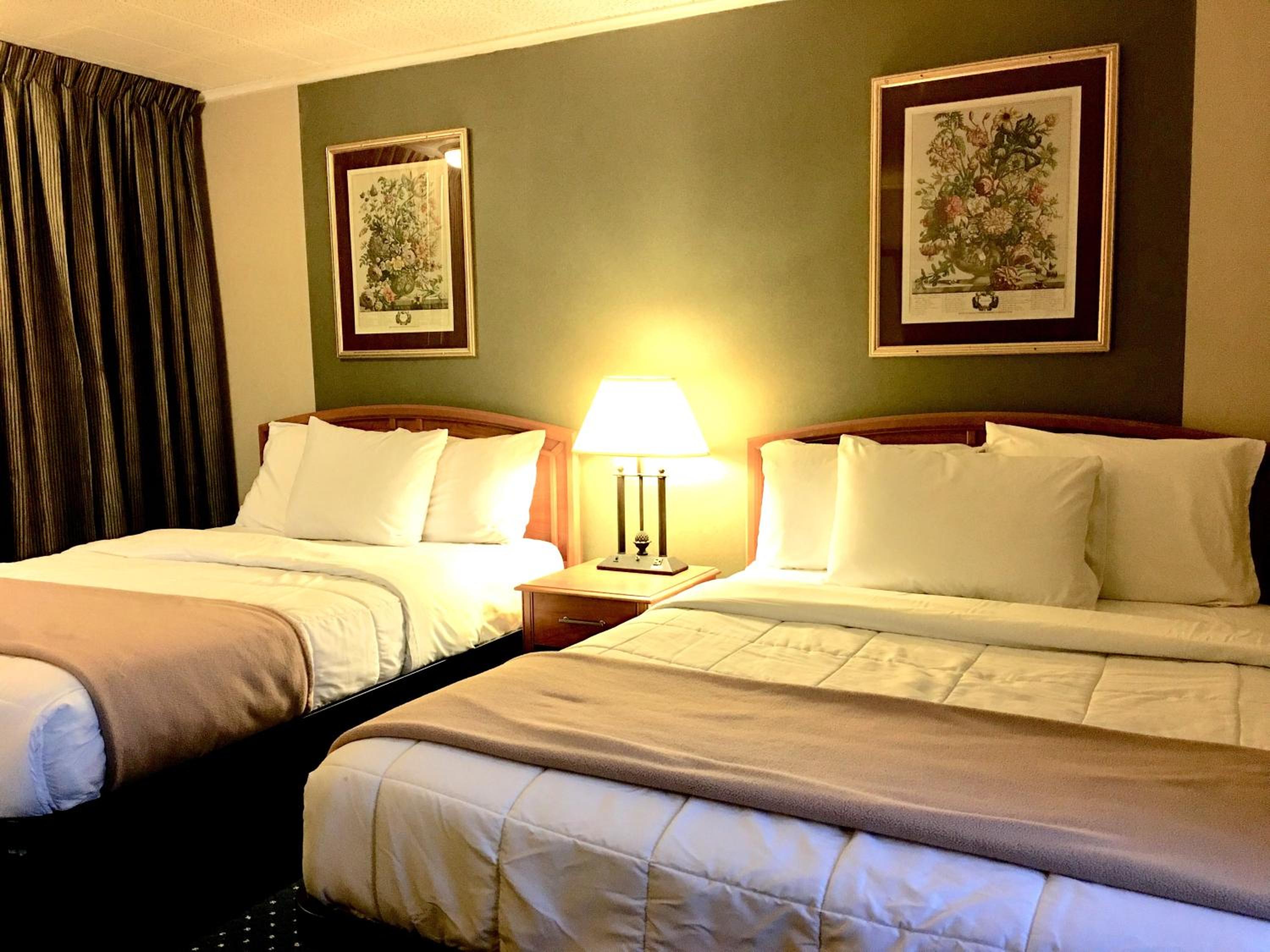 Standard Double Room with Two Double Beds - Photo 4