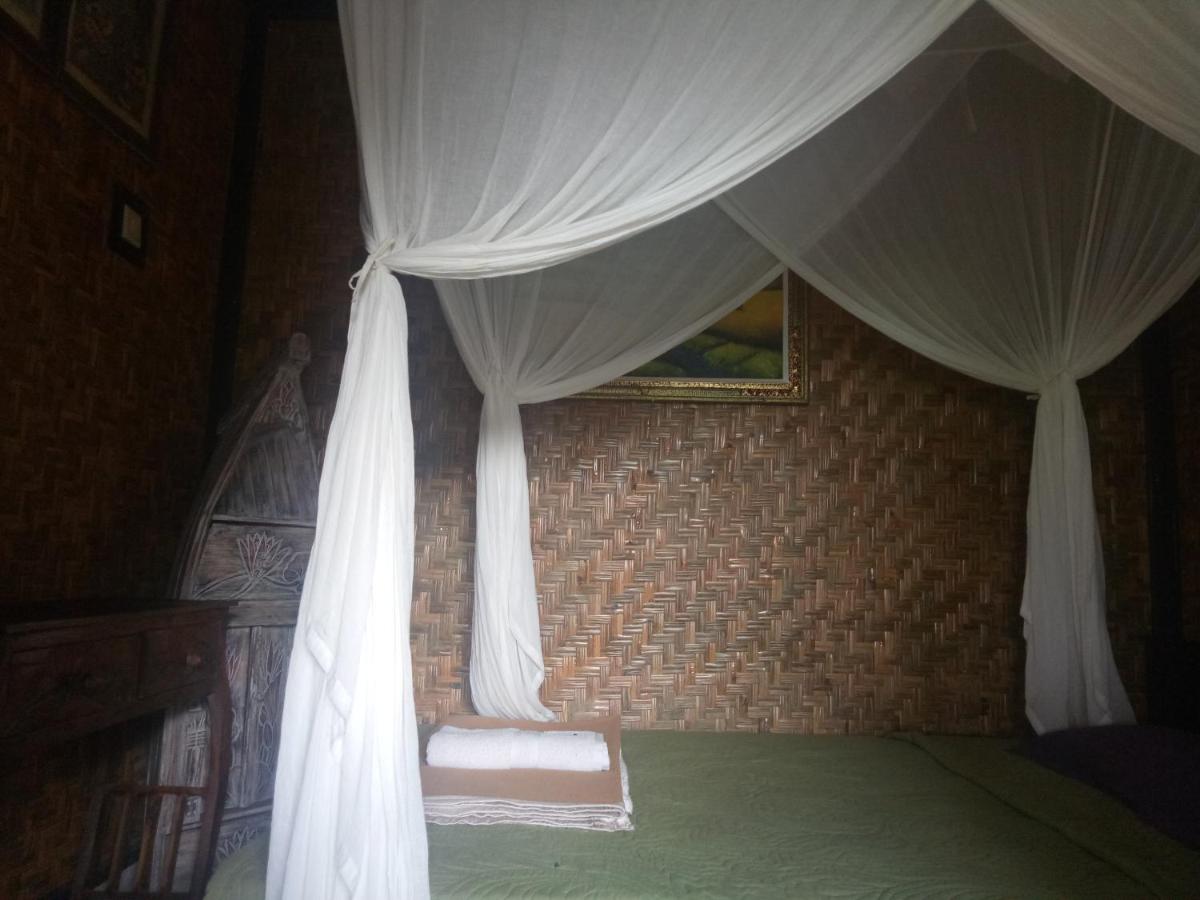 Standard Single Room with Mountain View photo 3