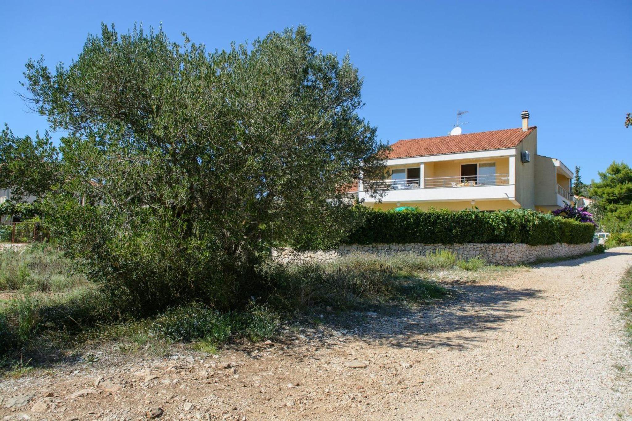 Apartment with Sea View photo 2