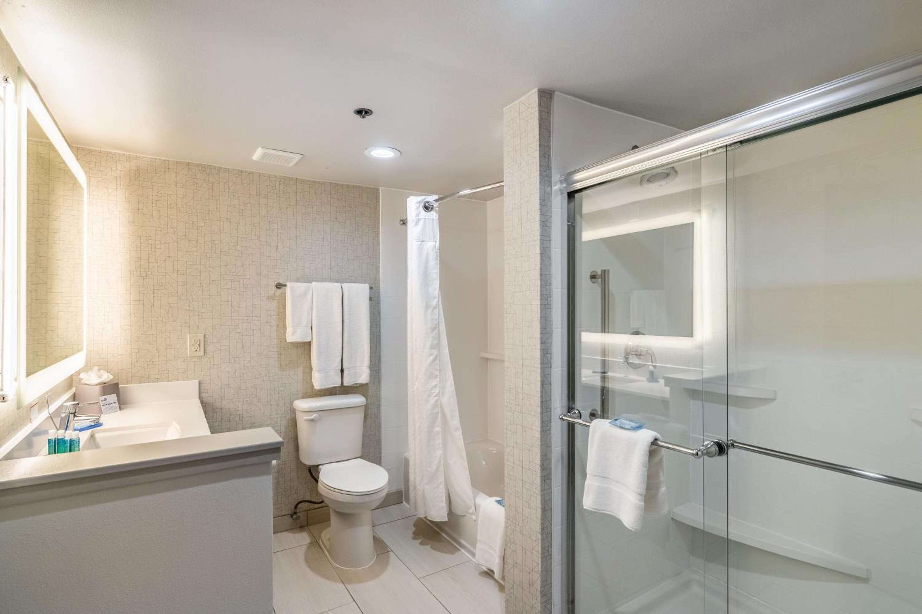 One-Bedroom Suite - Photo 2